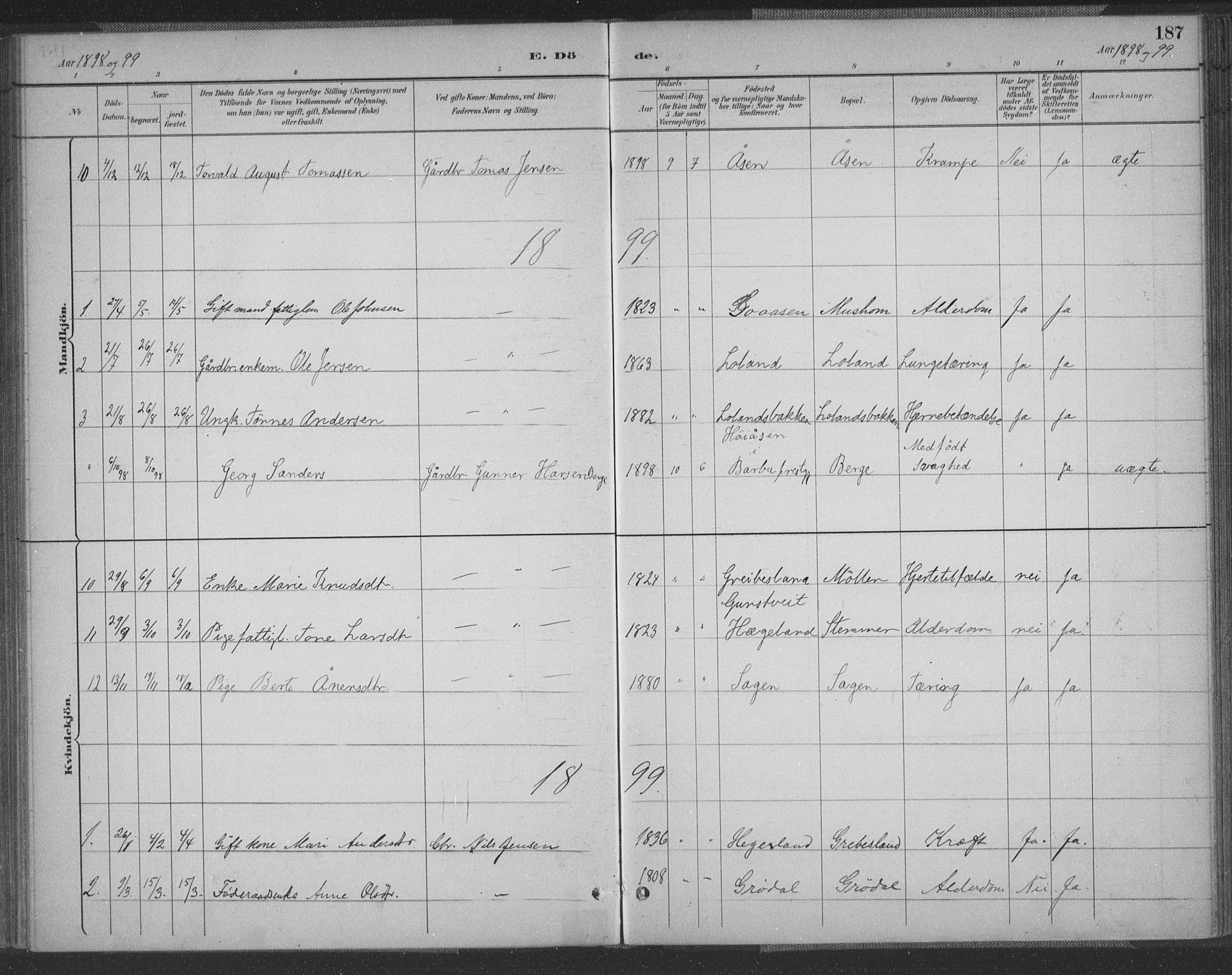 Vennesla sokneprestkontor, AV/SAK-1111-0045/Fa/Fac/L0009: Parish register (official) no. A 9, 1884-1901, p. 187