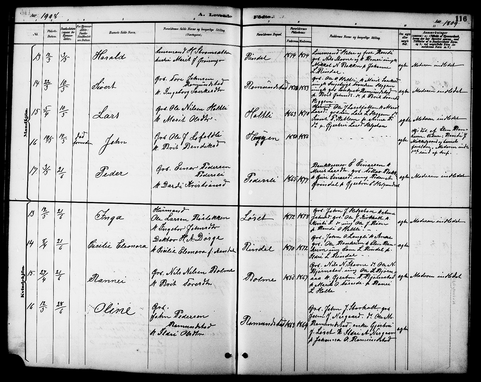 Ministerialprotokoller, klokkerbøker og fødselsregistre - Møre og Romsdal, AV/SAT-A-1454/598/L1078: Parish register (copy) no. 598C03, 1892-1909, p. 116