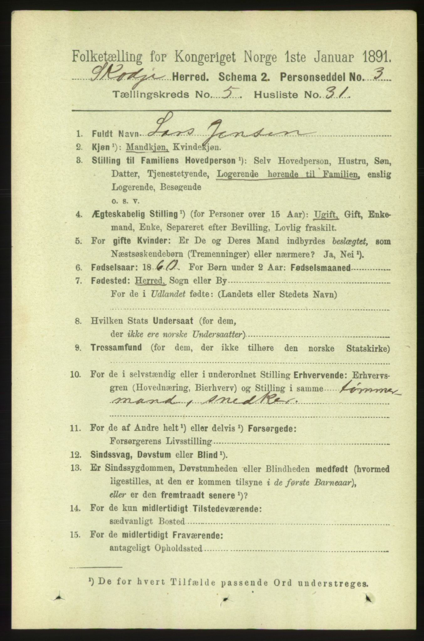 RA, 1891 census for 1529 Skodje, 1891, p. 1029