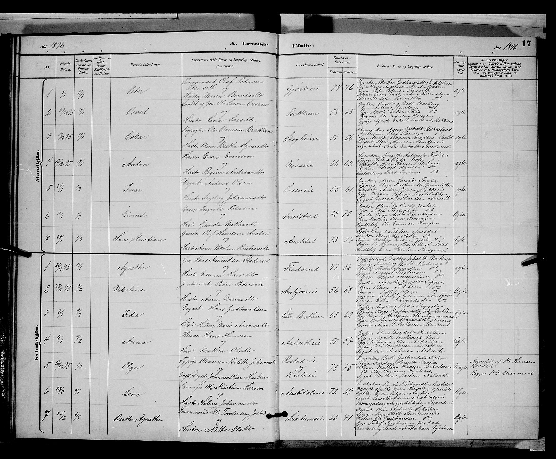 Biri prestekontor, SAH/PREST-096/H/Ha/Hab/L0003: Parish register (copy) no. 3, 1892-1905, p. 17