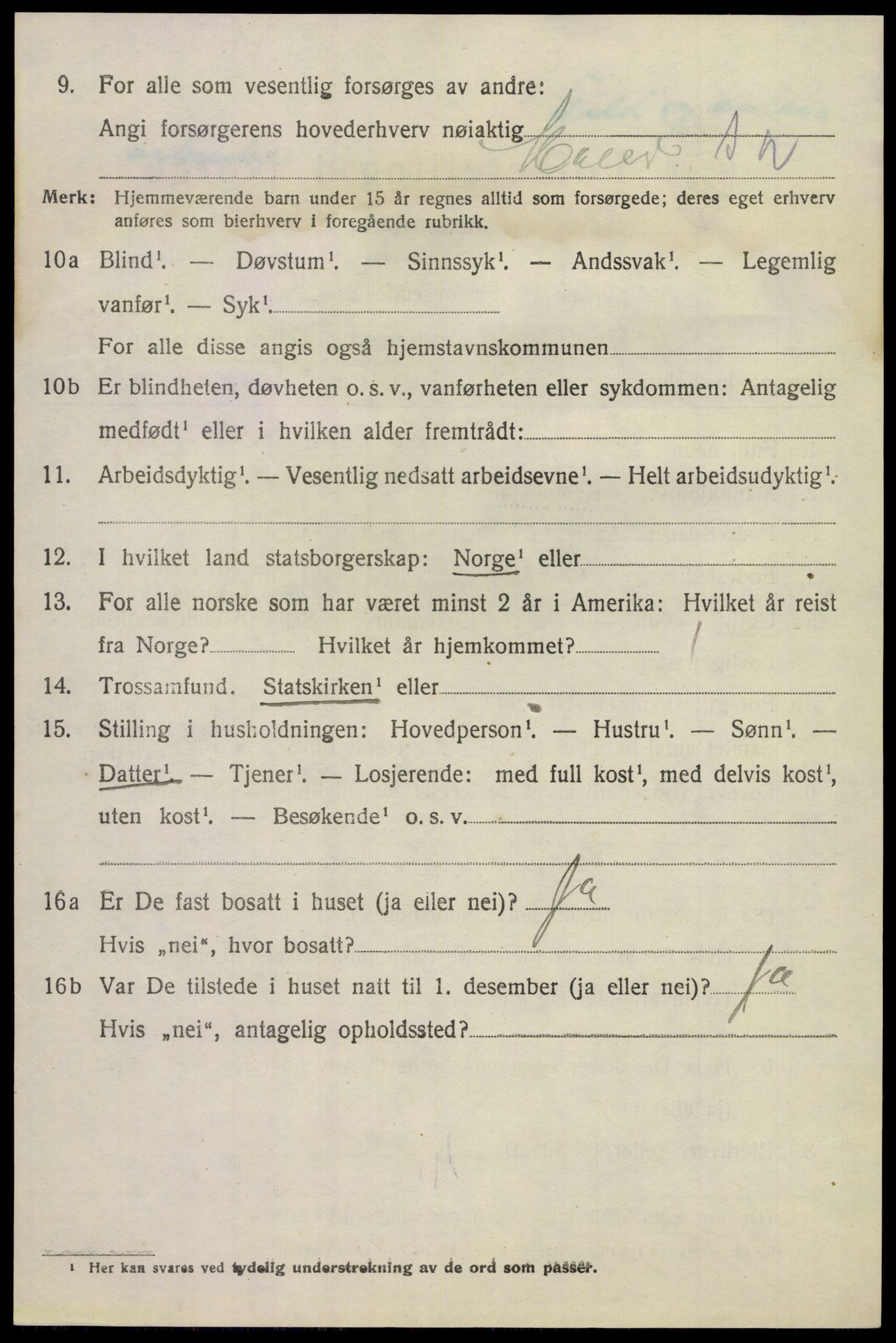 SAKO, 1920 census for Hovin, 1920, p. 1728