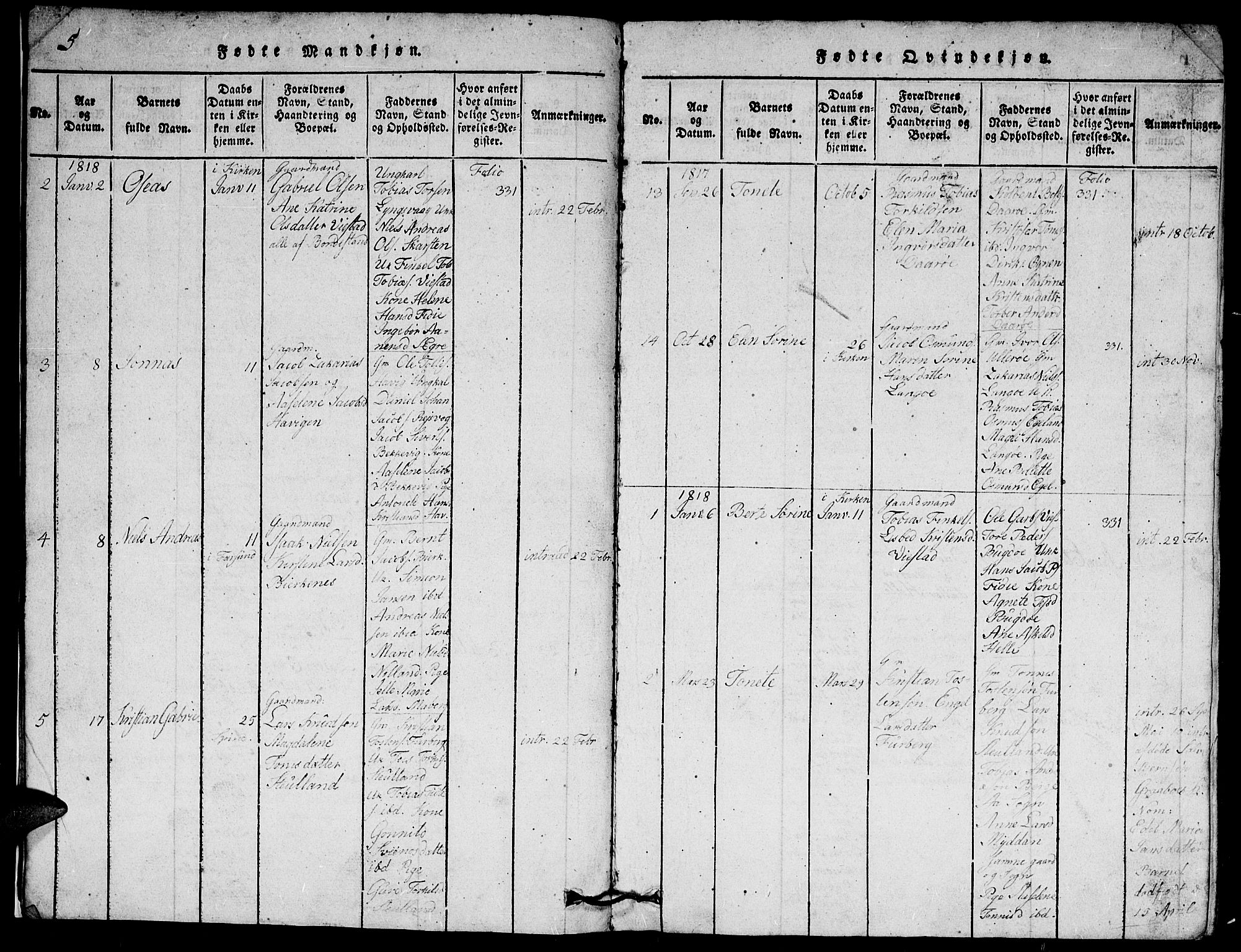 Herad sokneprestkontor, SAK/1111-0018/F/Fb/Fbb/L0001: Parish register (copy) no. B 1, 1815-1852, p. 5