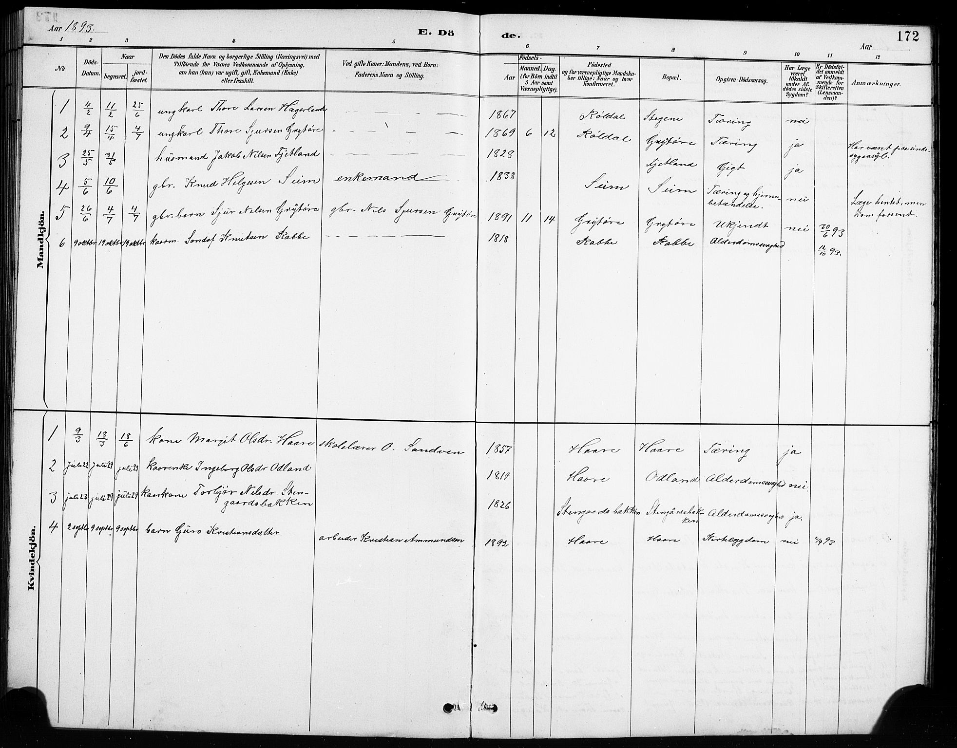 Røldal sokneprestembete, SAB/A-100247: Parish register (copy) no. A 3, 1887-1917, p. 172