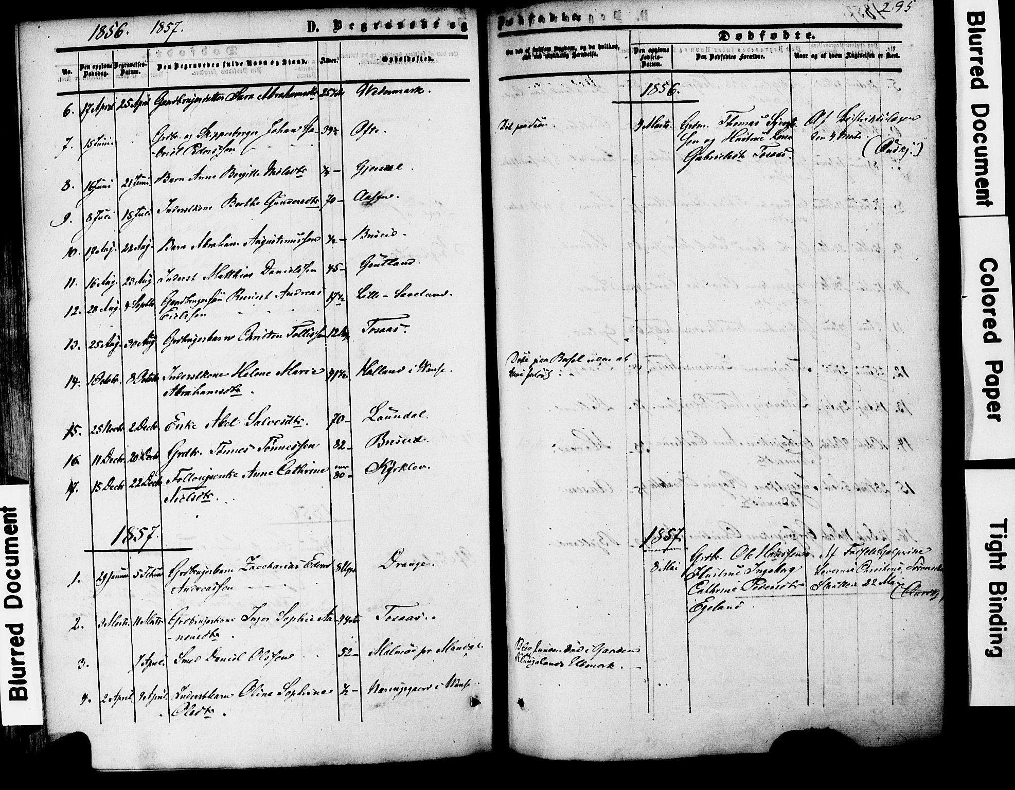 Herad sokneprestkontor, AV/SAK-1111-0018/F/Fa/Faa/L0005: Parish register (official) no. A 5, 1853-1886, p. 295