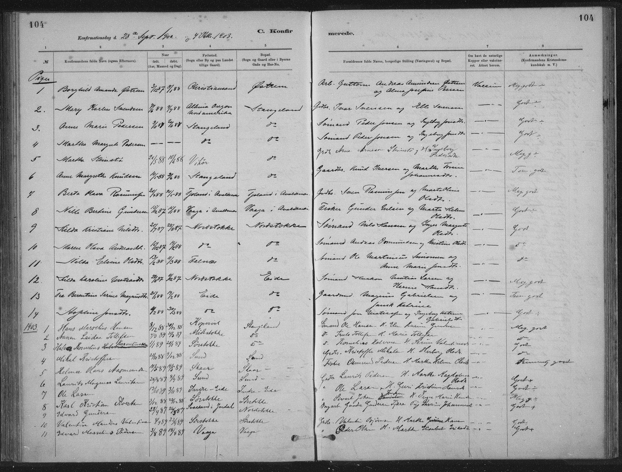 Kopervik sokneprestkontor, SAST/A-101850/H/Ha/Haa/L0002: Parish register (official) no. A 2, 1880-1912, p. 104