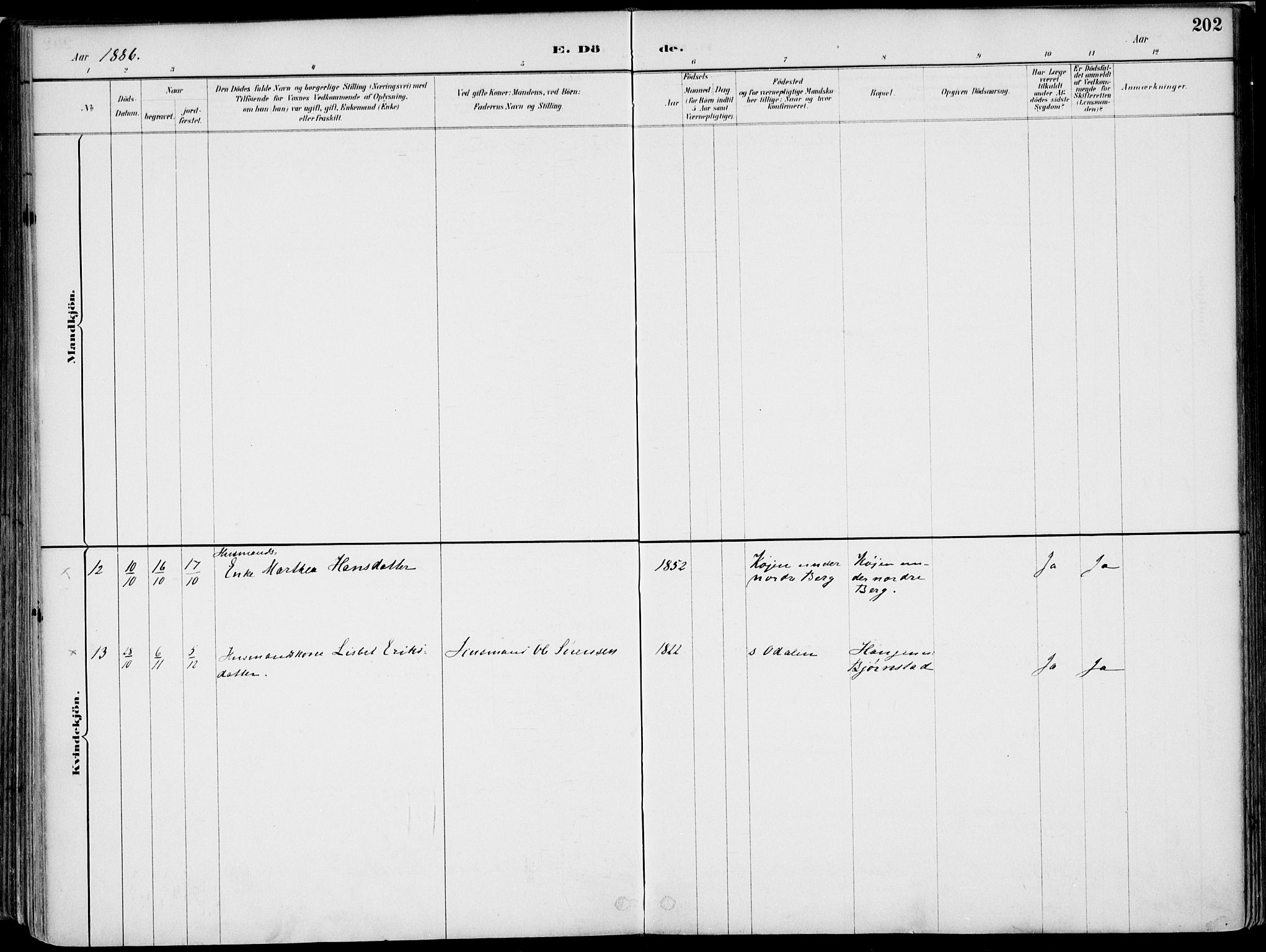 Nord-Odal prestekontor, SAH/PREST-032/H/Ha/Haa/L0008: Parish register (official) no. 8, 1886-1901, p. 202