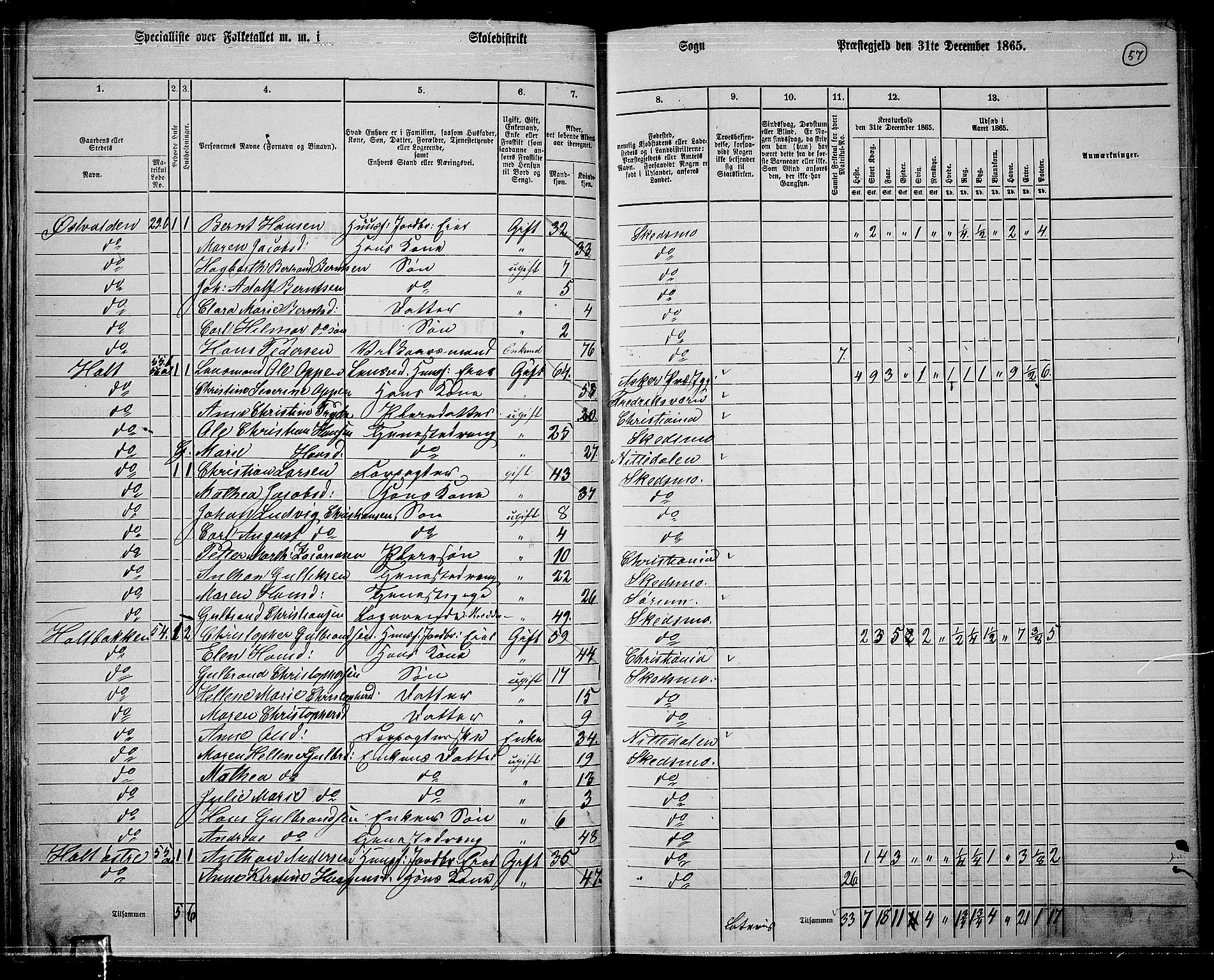 RA, 1865 census for Skedsmo, 1865, p. 53