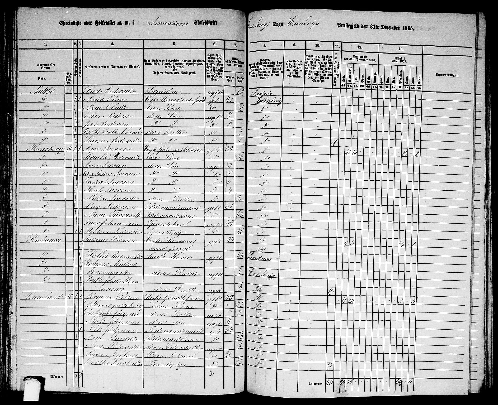 RA, 1865 census for Eivindvik, 1865, p. 87