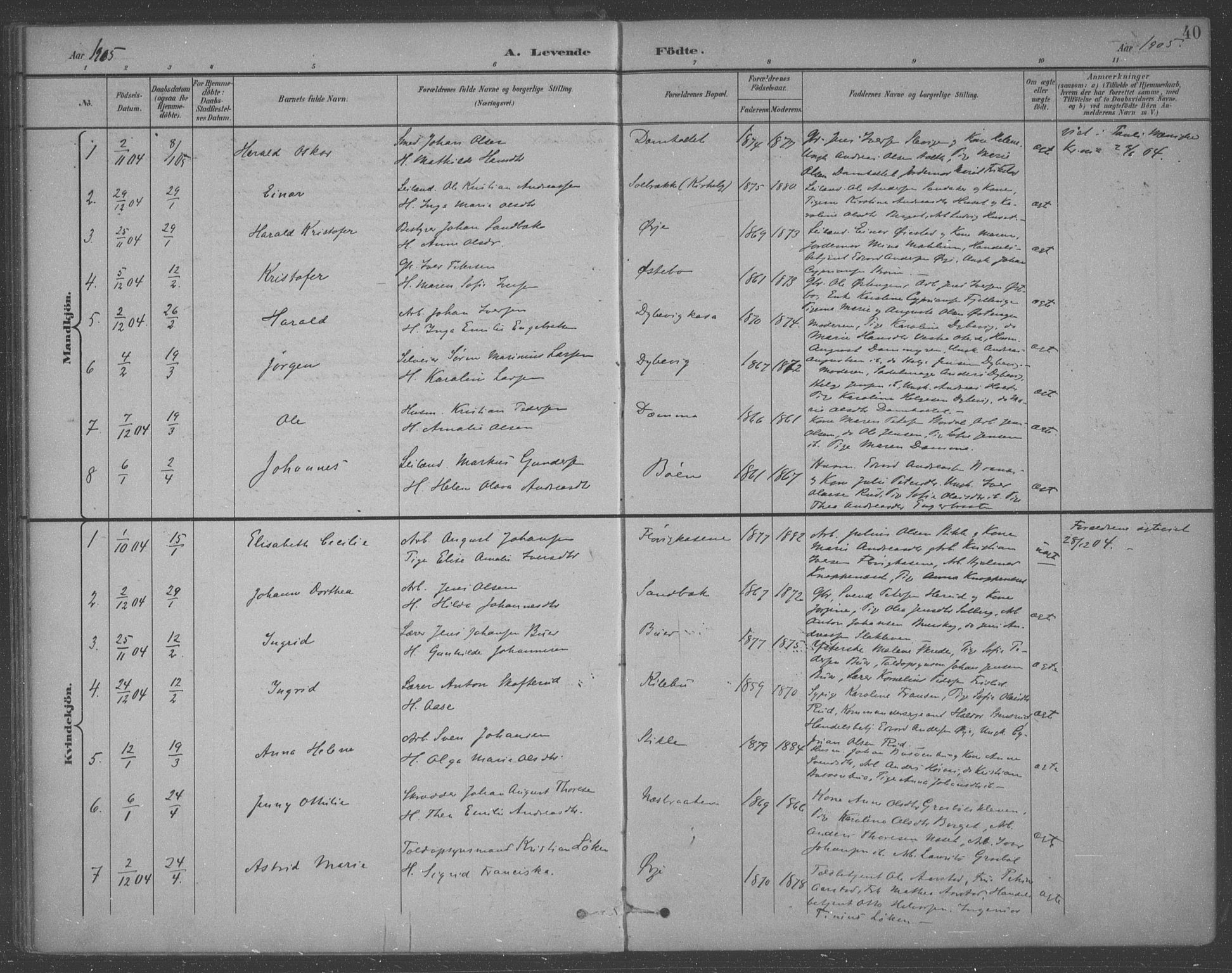 Aremark prestekontor Kirkebøker, SAO/A-10899/F/Fb/L0005: Parish register (official) no. II 5, 1895-1919, p. 40