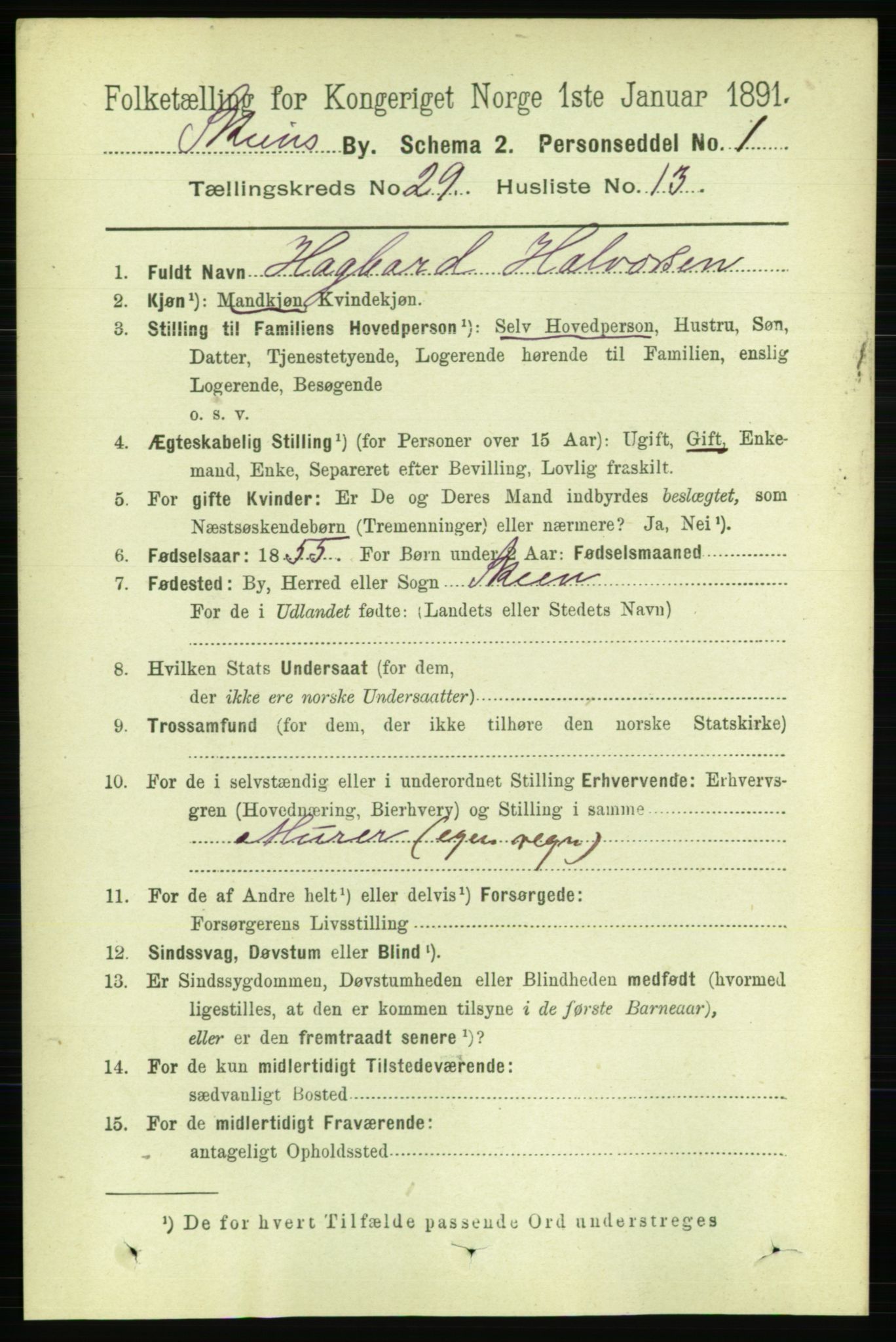 RA, 1891 census for 0806 Skien, 1891, p. 6803