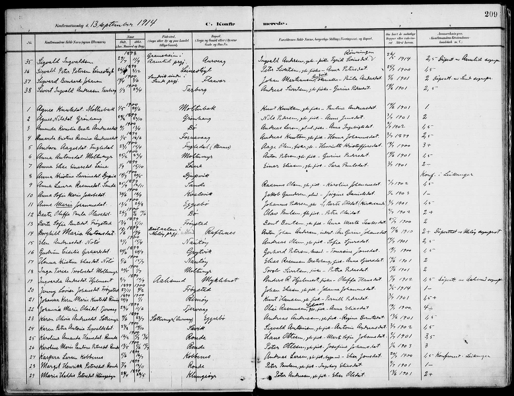 Ministerialprotokoller, klokkerbøker og fødselsregistre - Møre og Romsdal, SAT/A-1454/507/L0075: Parish register (official) no. 507A10, 1901-1920, p. 209