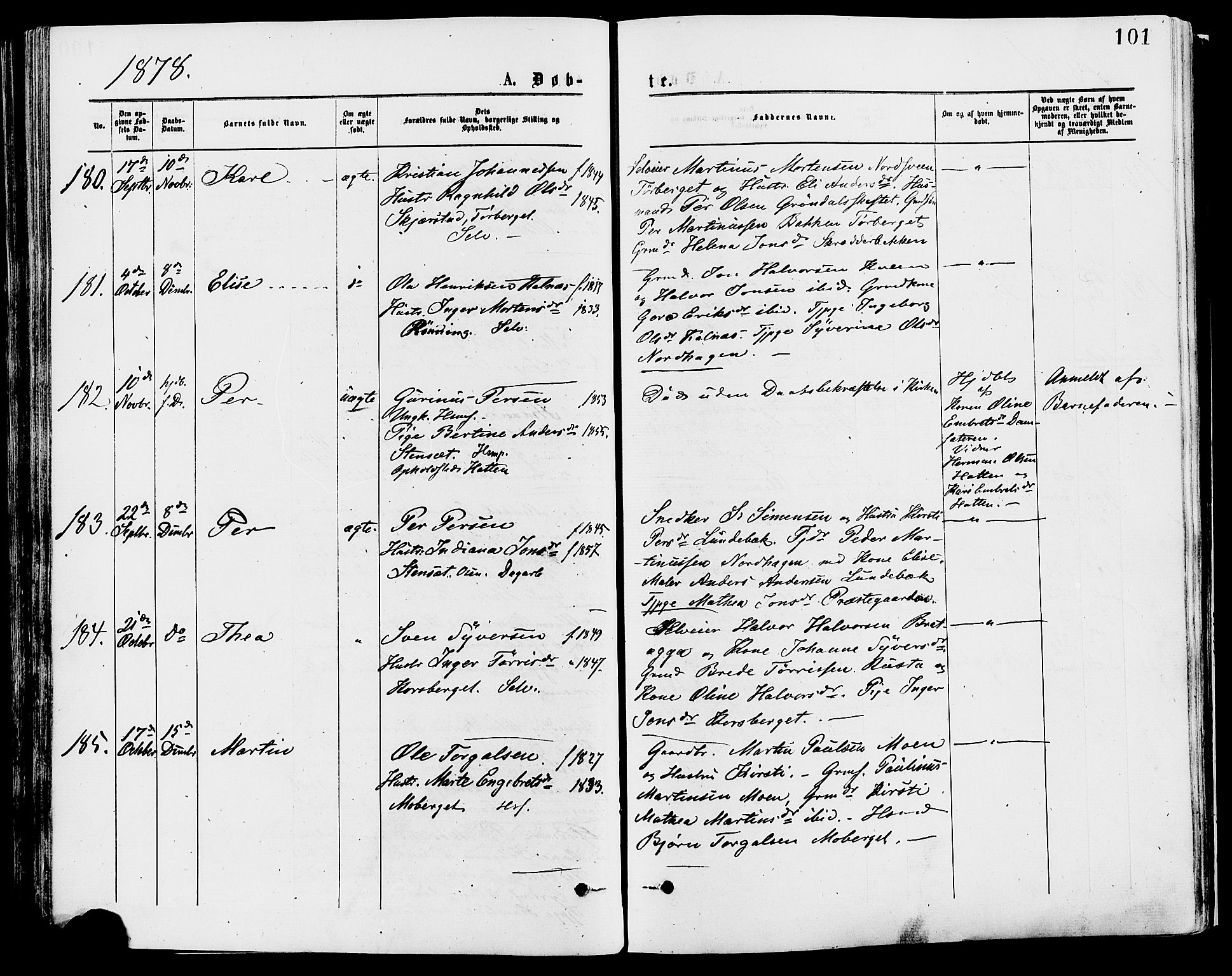 Trysil prestekontor, AV/SAH-PREST-046/H/Ha/Haa/L0007: Parish register (official) no. 7, 1874-1880, p. 101