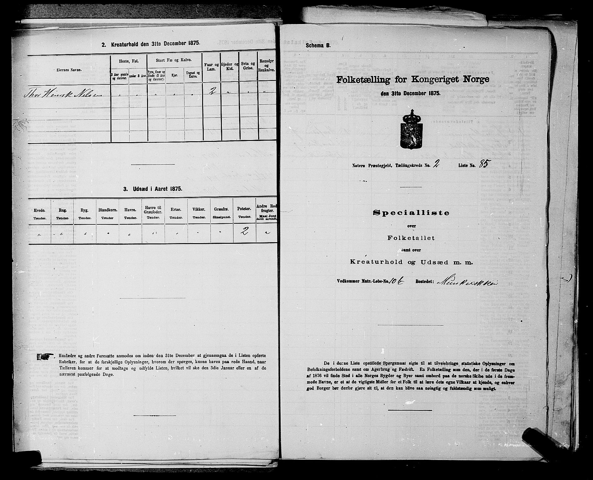 SAKO, 1875 census for 0722P Nøtterøy, 1875, p. 509