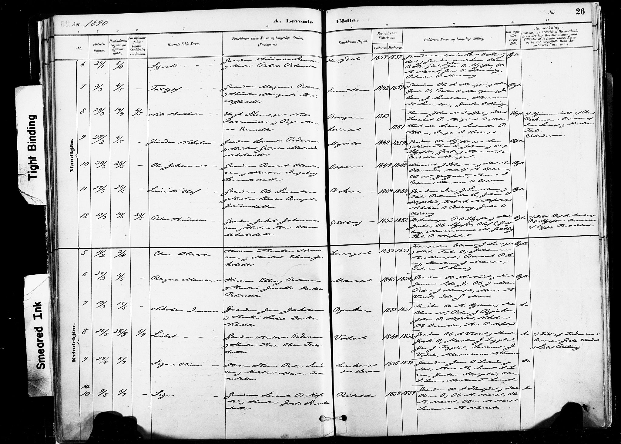 Ministerialprotokoller, klokkerbøker og fødselsregistre - Nord-Trøndelag, AV/SAT-A-1458/735/L0351: Parish register (official) no. 735A10, 1884-1908, p. 26