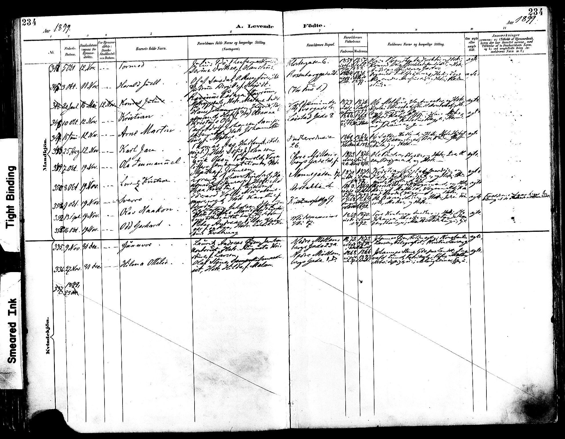 Ministerialprotokoller, klokkerbøker og fødselsregistre - Sør-Trøndelag, SAT/A-1456/604/L0197: Parish register (official) no. 604A18, 1893-1900, p. 234