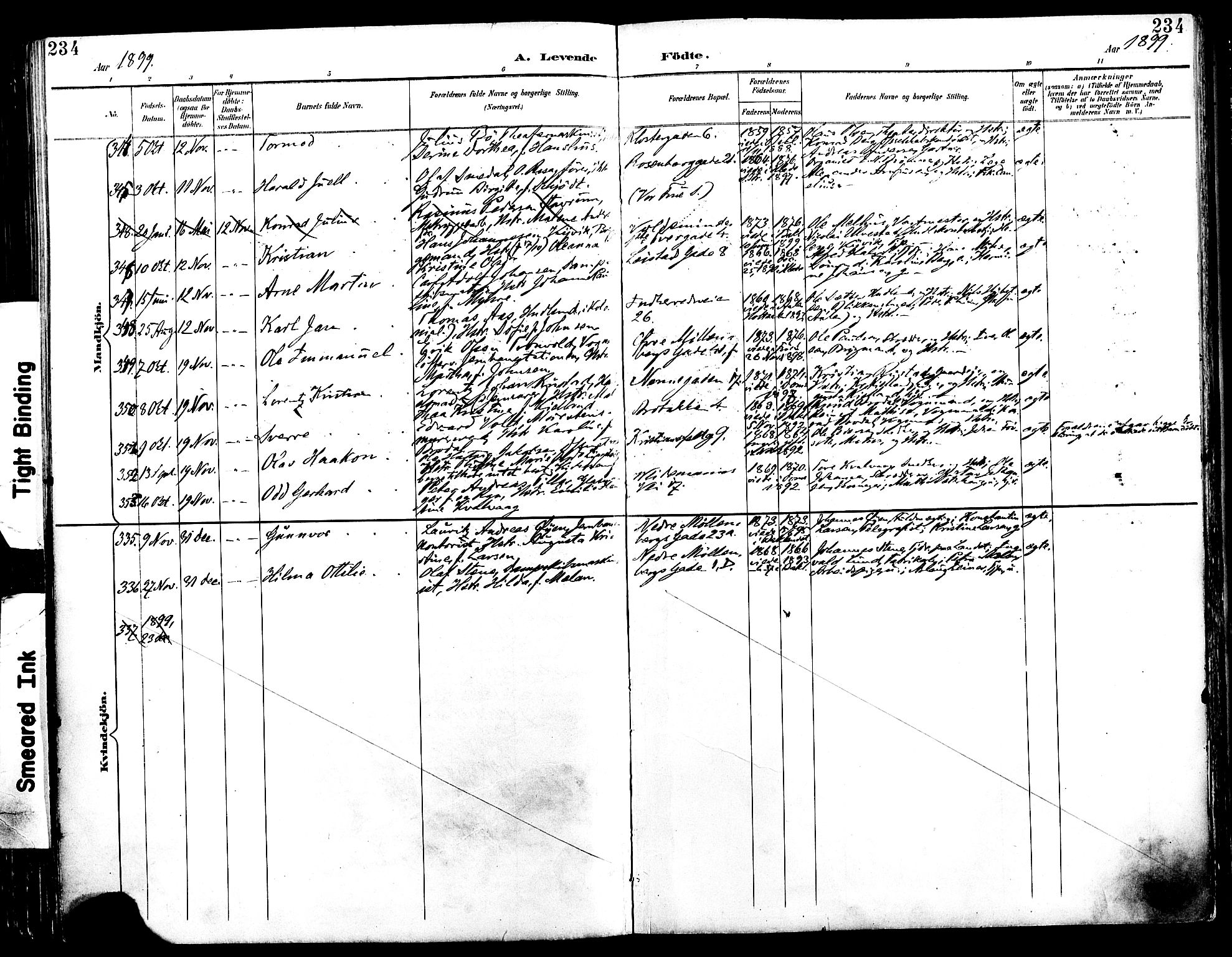 Ministerialprotokoller, klokkerbøker og fødselsregistre - Sør-Trøndelag, AV/SAT-A-1456/604/L0197: Parish register (official) no. 604A18, 1893-1900, p. 234