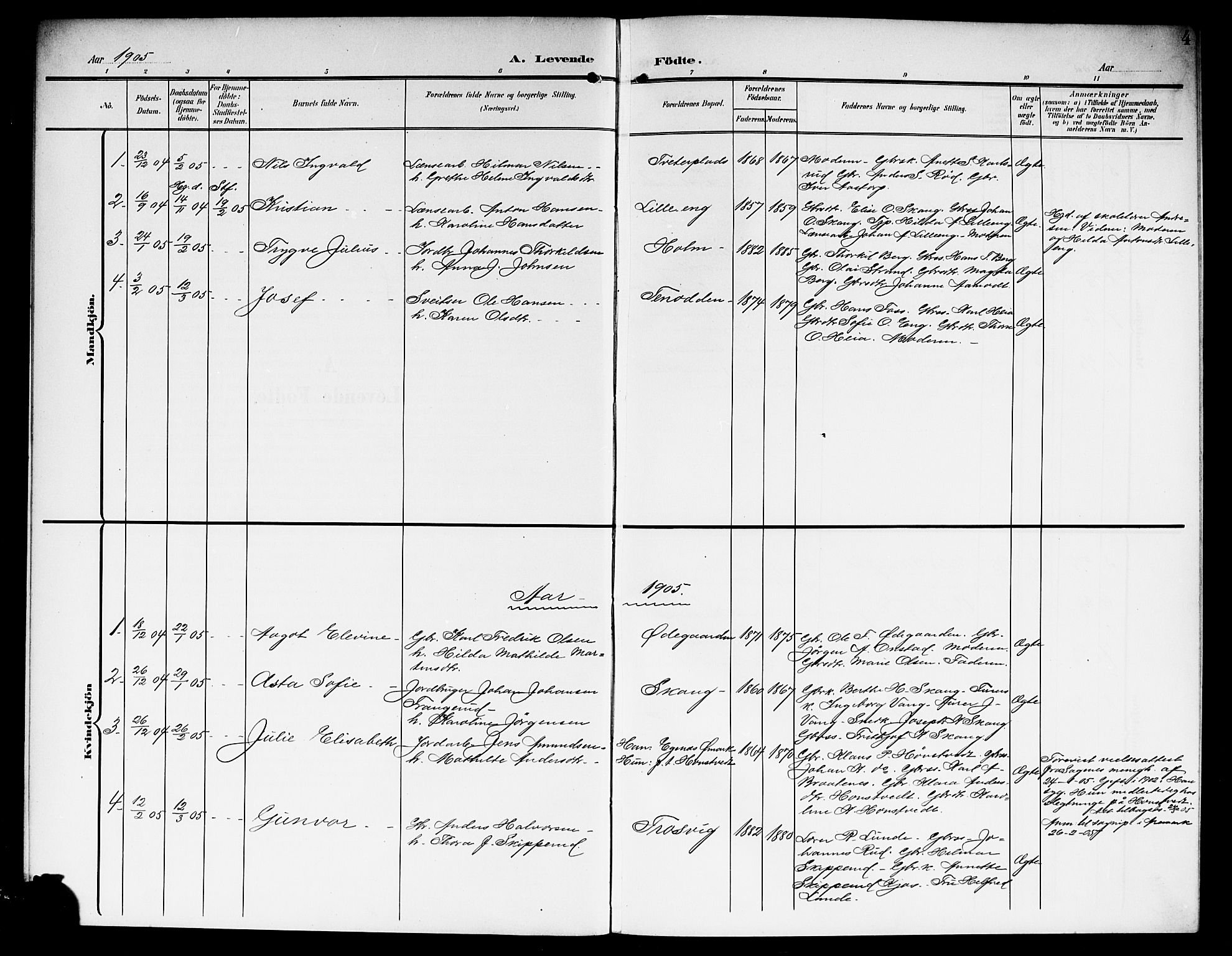 Skiptvet prestekontor Kirkebøker, AV/SAO-A-20009/G/Ga/L0002: Parish register (copy) no. 2, 1905-1915, p. 4