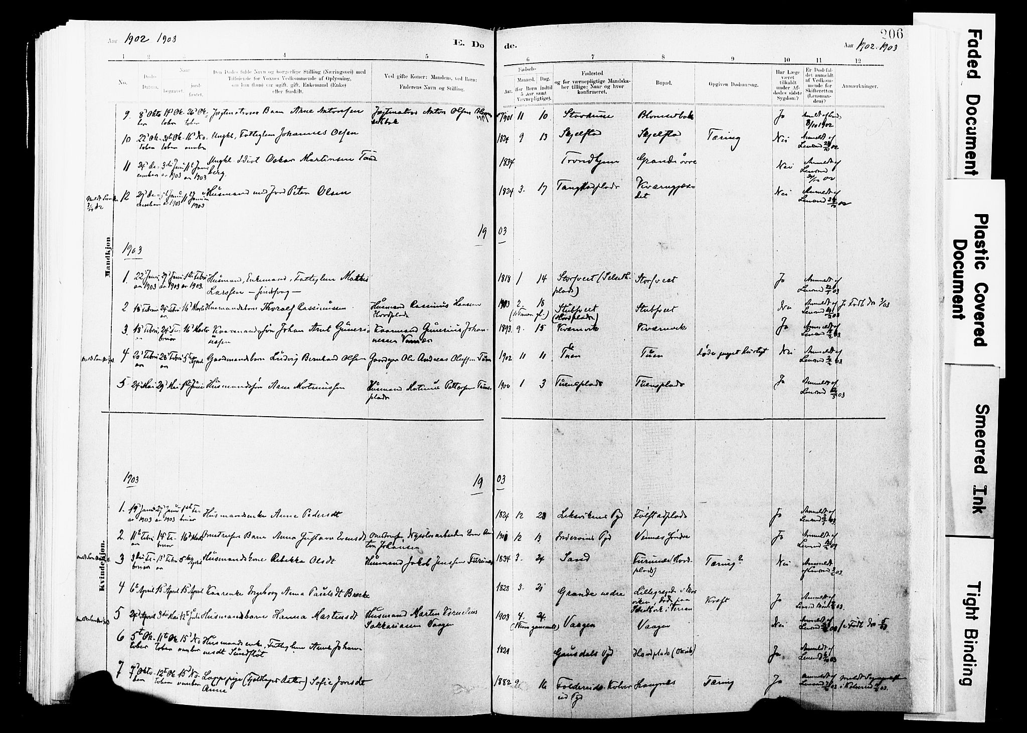 Ministerialprotokoller, klokkerbøker og fødselsregistre - Nord-Trøndelag, SAT/A-1458/744/L0420: Parish register (official) no. 744A04, 1882-1904, p. 206