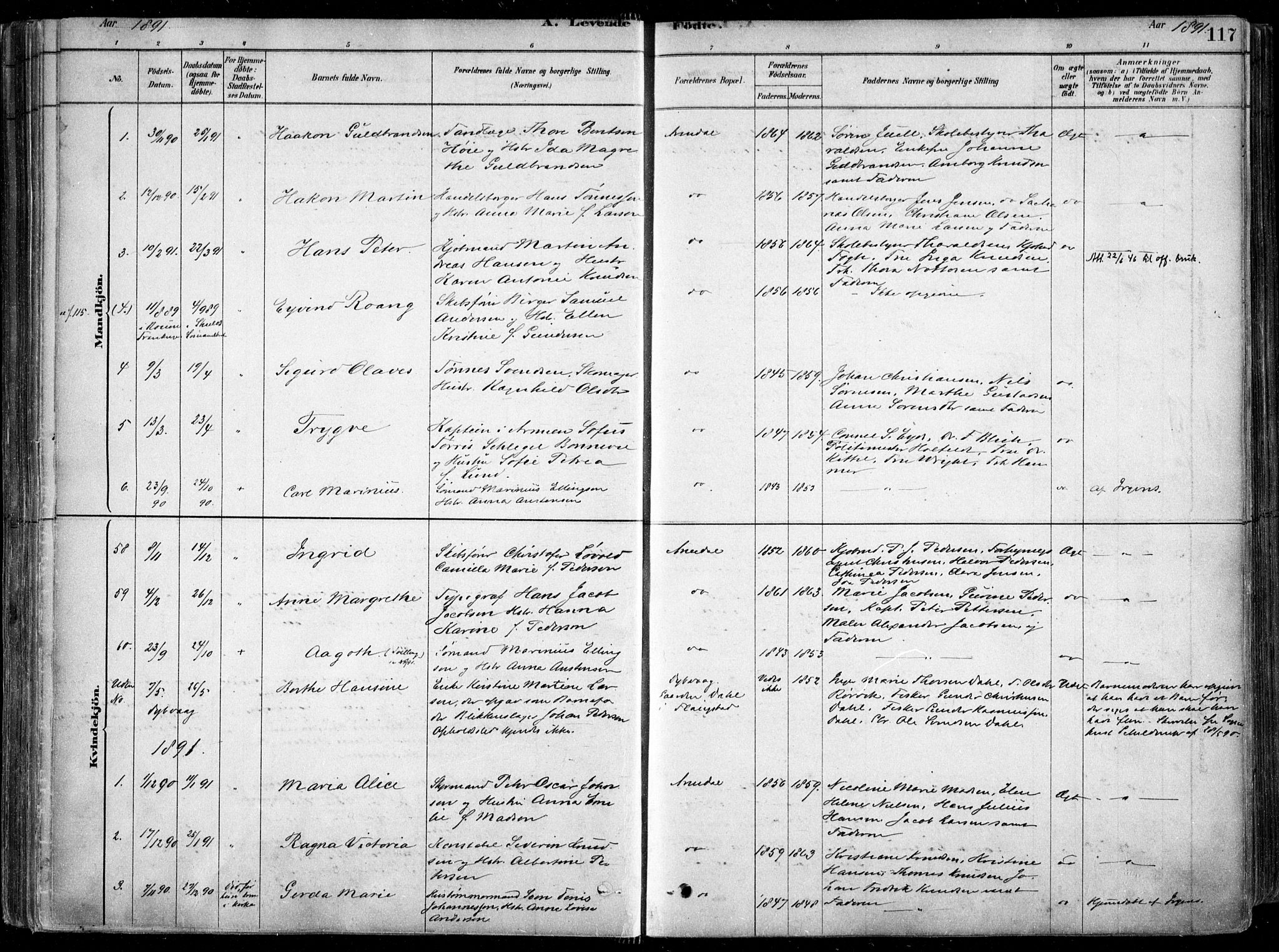 Arendal sokneprestkontor, Trefoldighet, SAK/1111-0040/F/Fa/L0008: Parish register (official) no. A 8, 1878-1899, p. 117