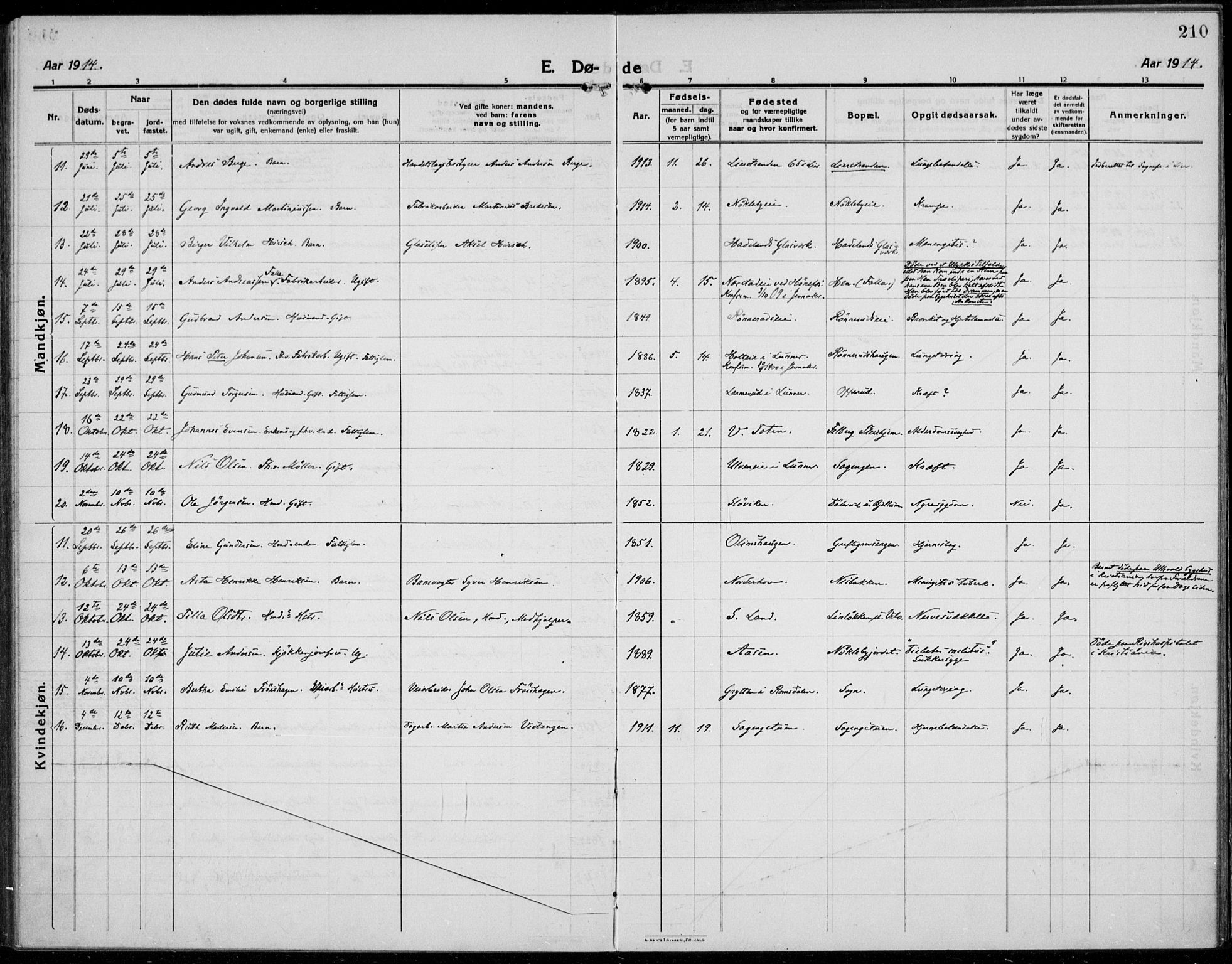 Jevnaker prestekontor, SAH/PREST-116/H/Ha/Haa/L0012: Parish register (official) no. 12, 1914-1924, p. 210