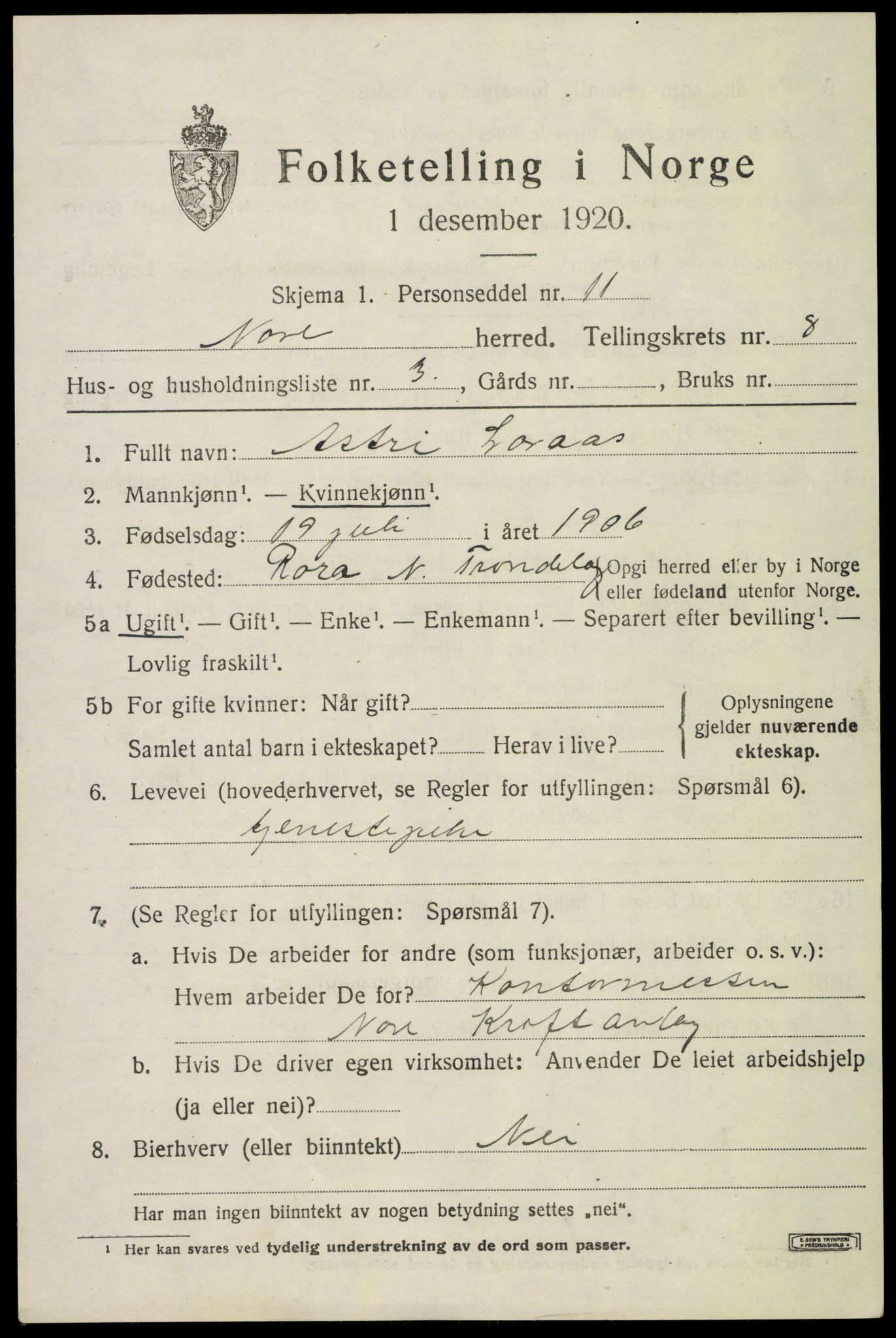 SAKO, 1920 census for Nore, 1920, p. 4038
