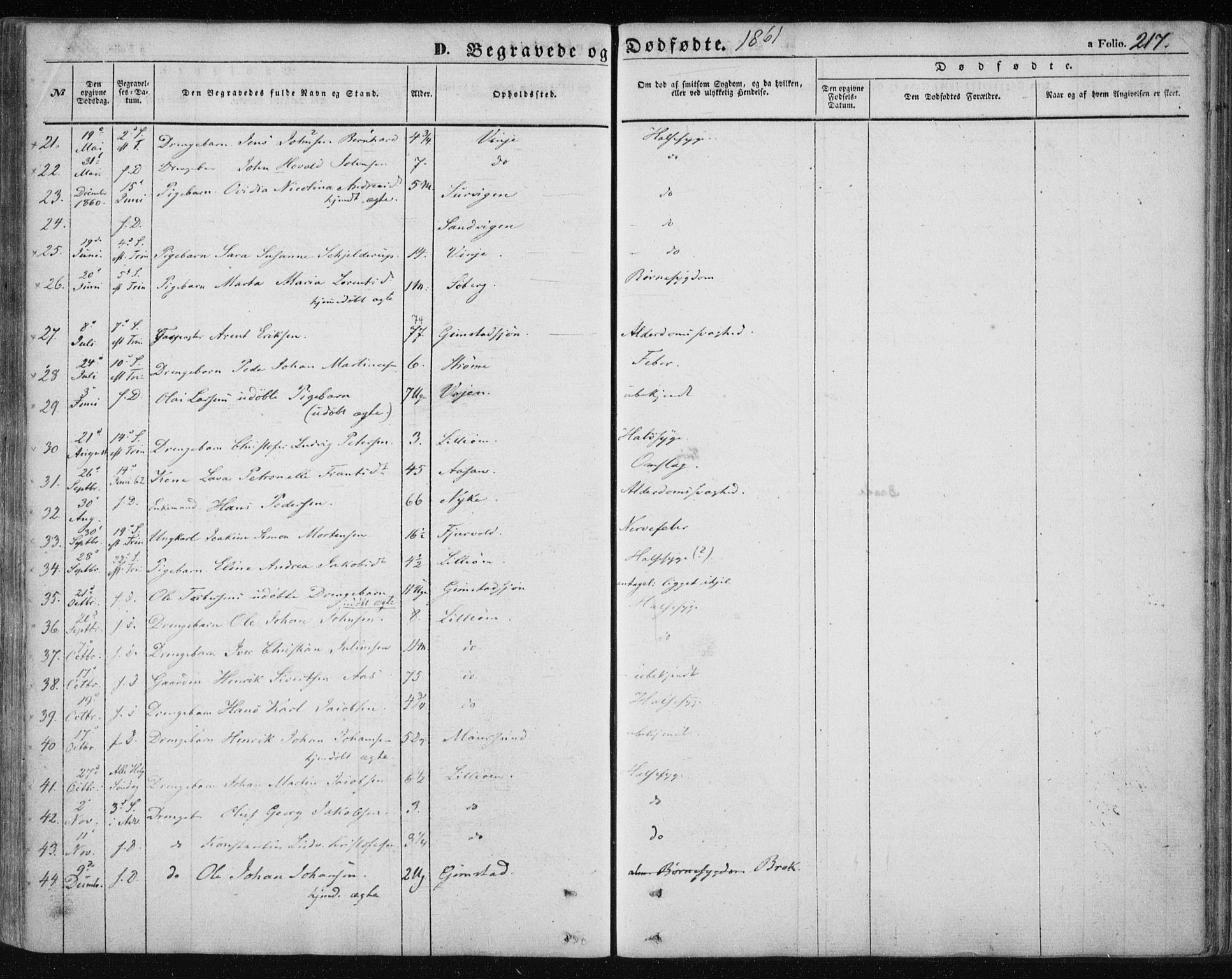 Ministerialprotokoller, klokkerbøker og fødselsregistre - Nordland, SAT/A-1459/891/L1300: Parish register (official) no. 891A05, 1856-1870, p. 217