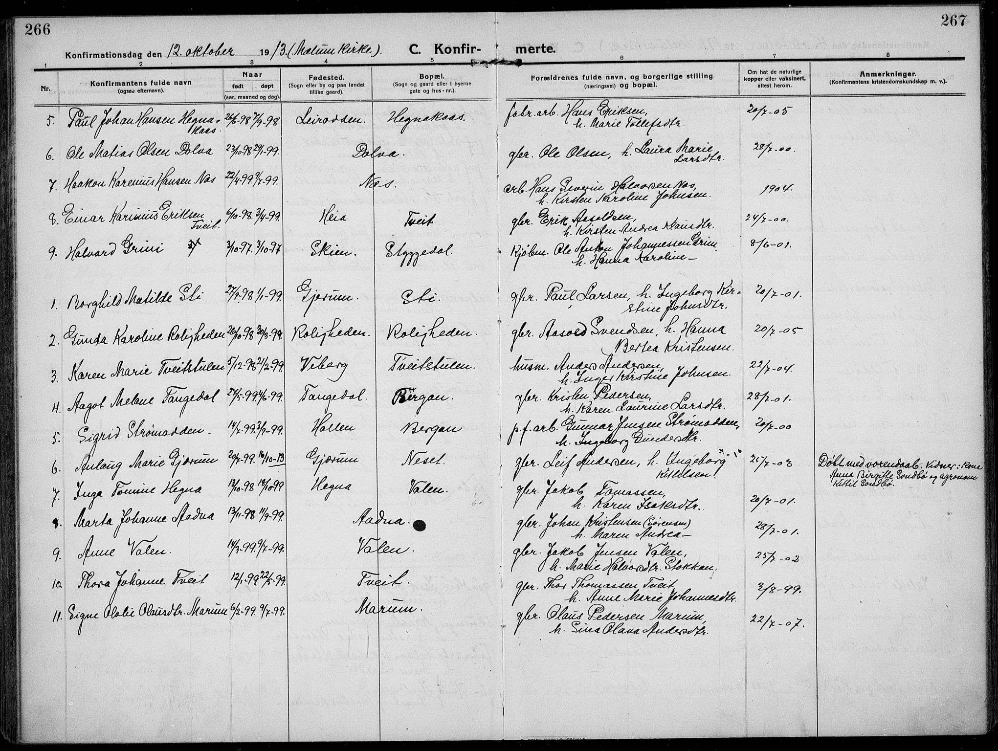 Solum kirkebøker, SAKO/A-306/F/Fb/L0004: Parish register (official) no. II 4, 1913-1924, p. 266-267