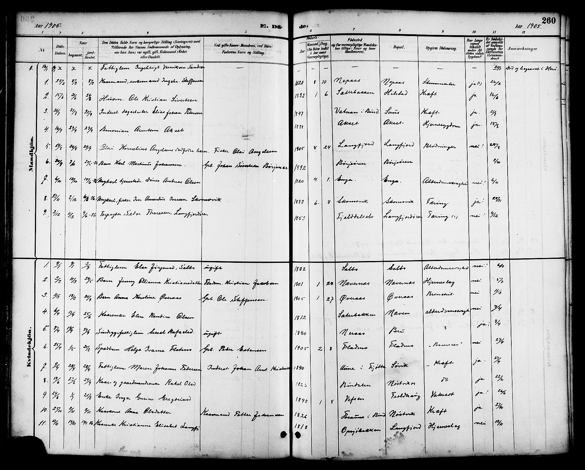 Ministerialprotokoller, klokkerbøker og fødselsregistre - Nordland, AV/SAT-A-1459/814/L0230: Parish register (copy) no. 814C03, 1884-1911, p. 260