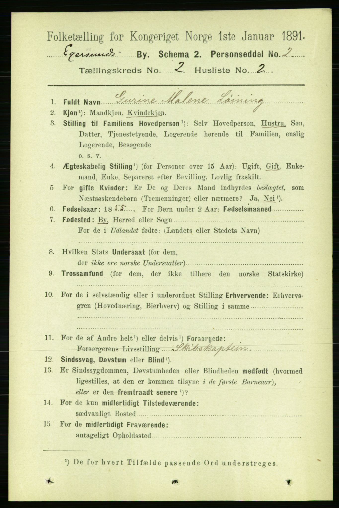 RA, 1891 census for 1101 Egersund, 1891, p. 235