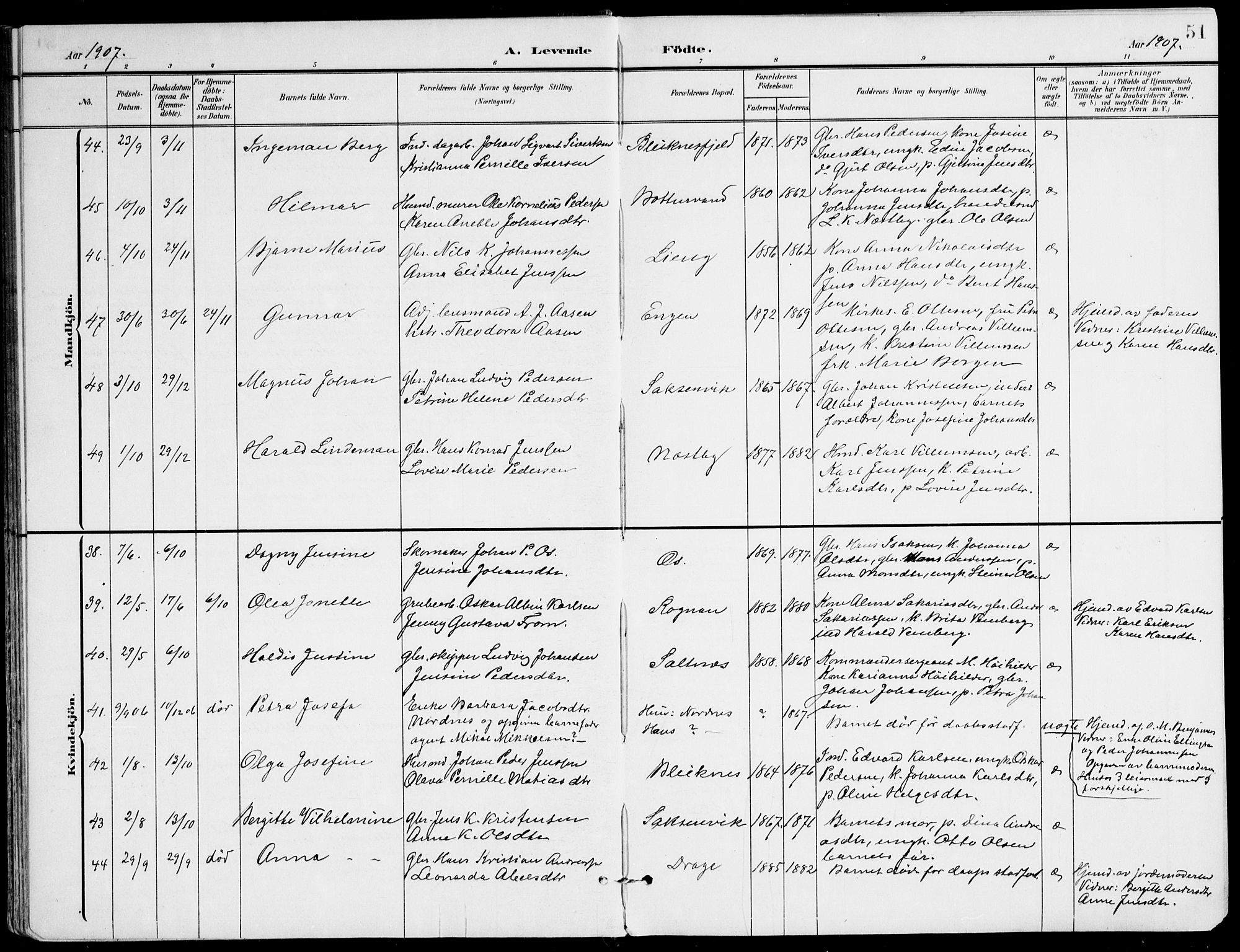 Ministerialprotokoller, klokkerbøker og fødselsregistre - Nordland, AV/SAT-A-1459/847/L0672: Parish register (official) no. 847A12, 1902-1919, p. 51