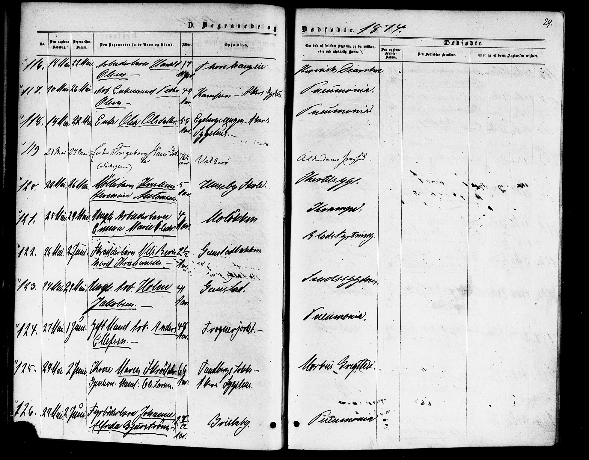 Vestre Aker prestekontor Kirkebøker, AV/SAO-A-10025/F/Fa/L0006: Parish register (official) no. 6, 1873-1886, p. 29