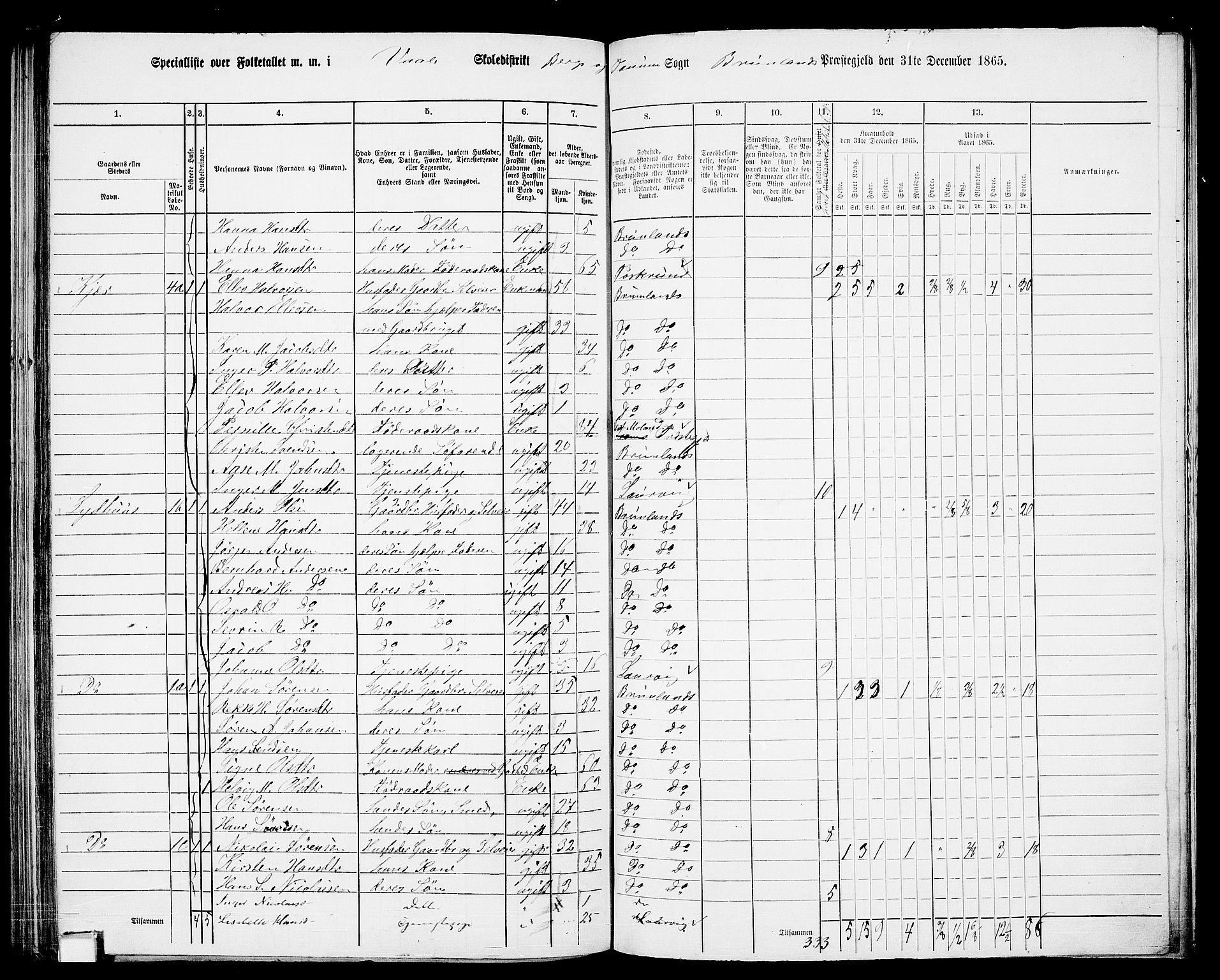 RA, 1865 census for Brunlanes, 1865, p. 126