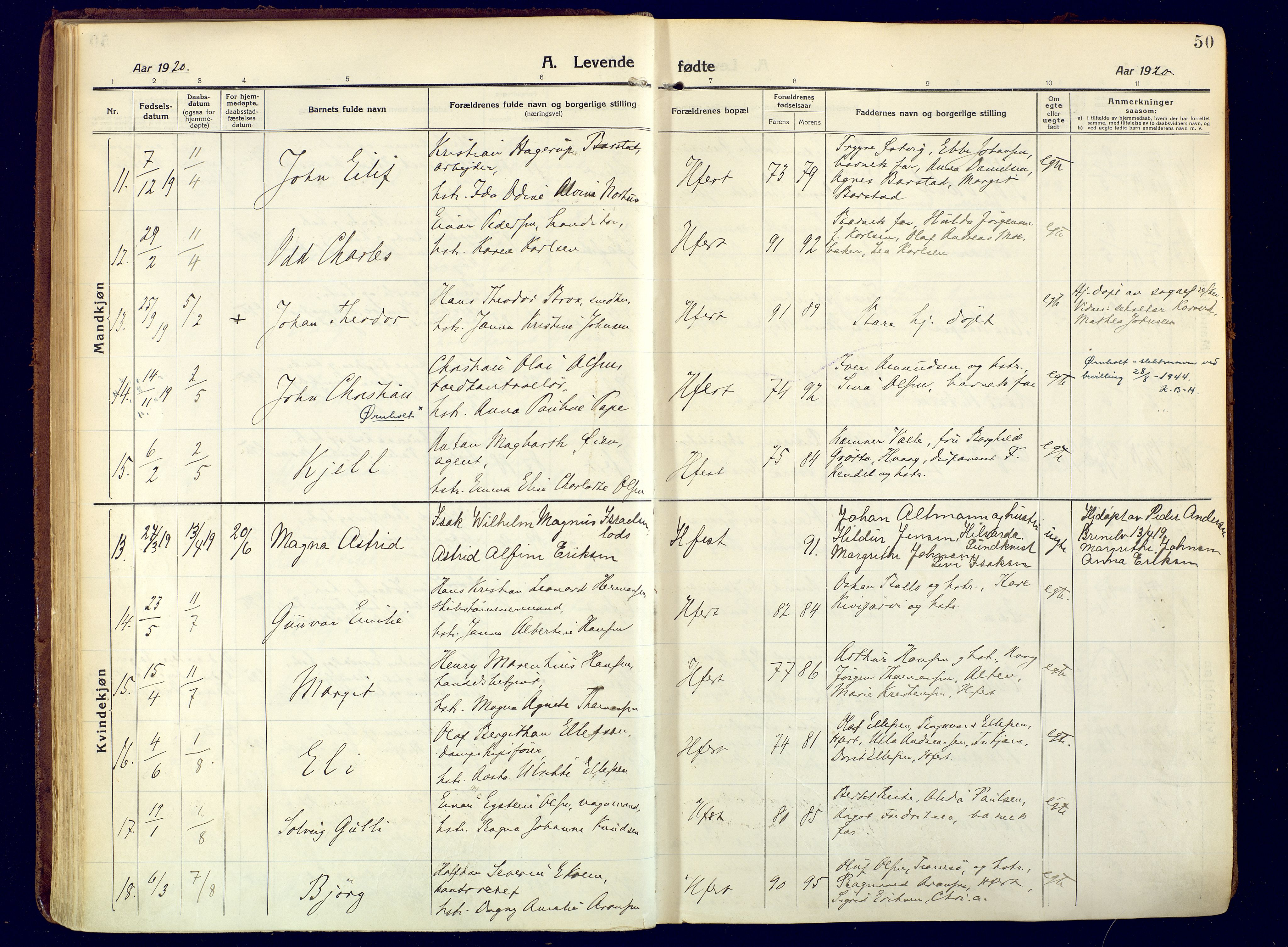 Hammerfest sokneprestkontor, SATØ/S-1347/H/Ha/L0015.kirke: Parish register (official) no. 15, 1916-1923, p. 50