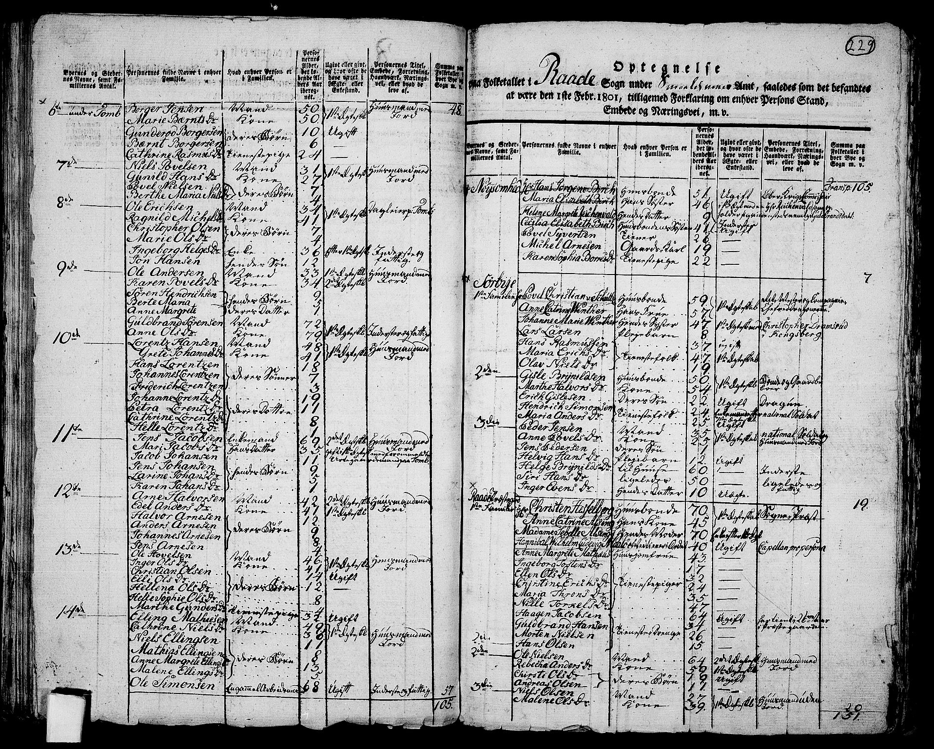 RA, 1801 census for 0135P Råde, 1801, p. 228b-229a