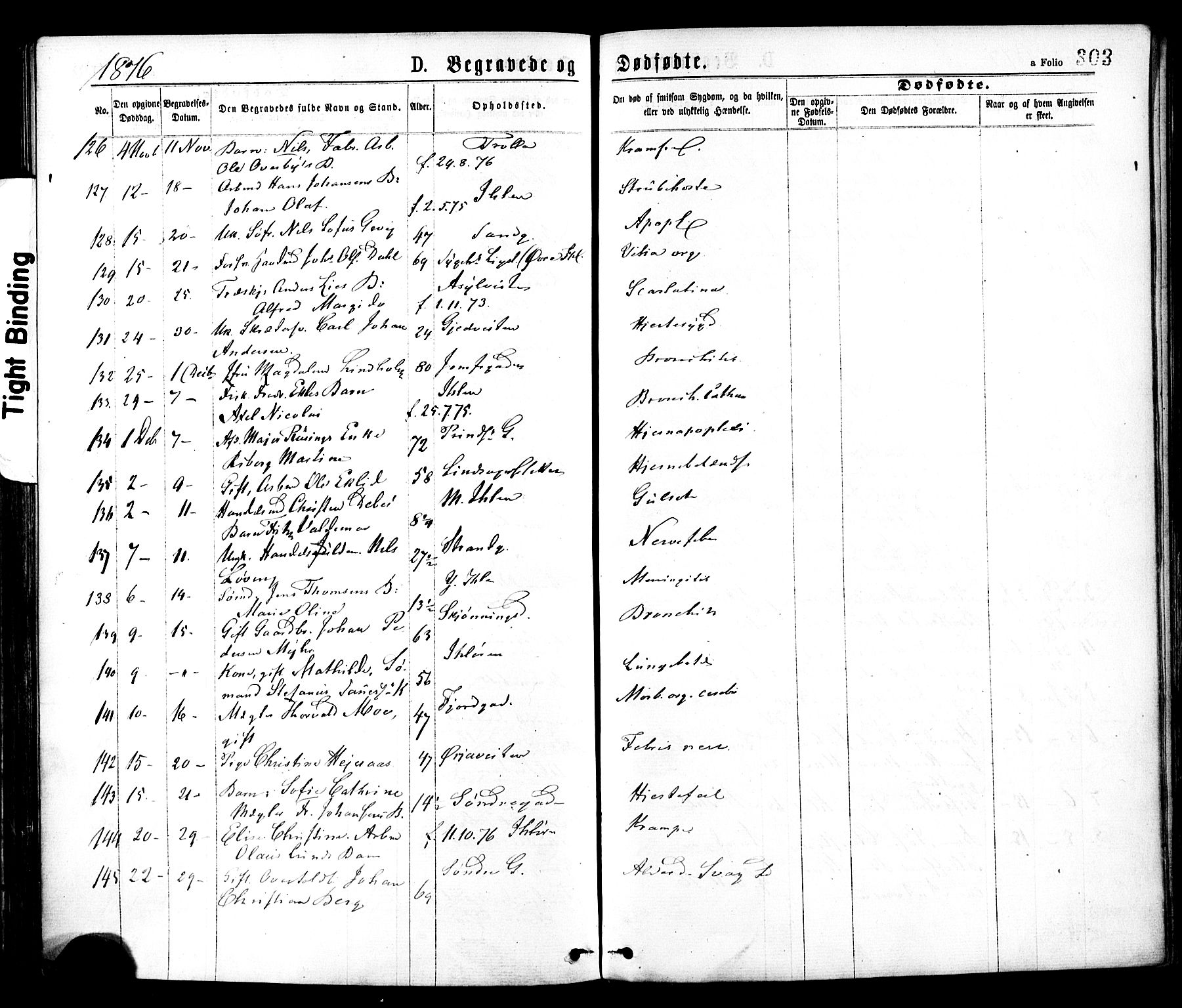 Ministerialprotokoller, klokkerbøker og fødselsregistre - Sør-Trøndelag, SAT/A-1456/602/L0118: Parish register (official) no. 602A16, 1873-1879, p. 303