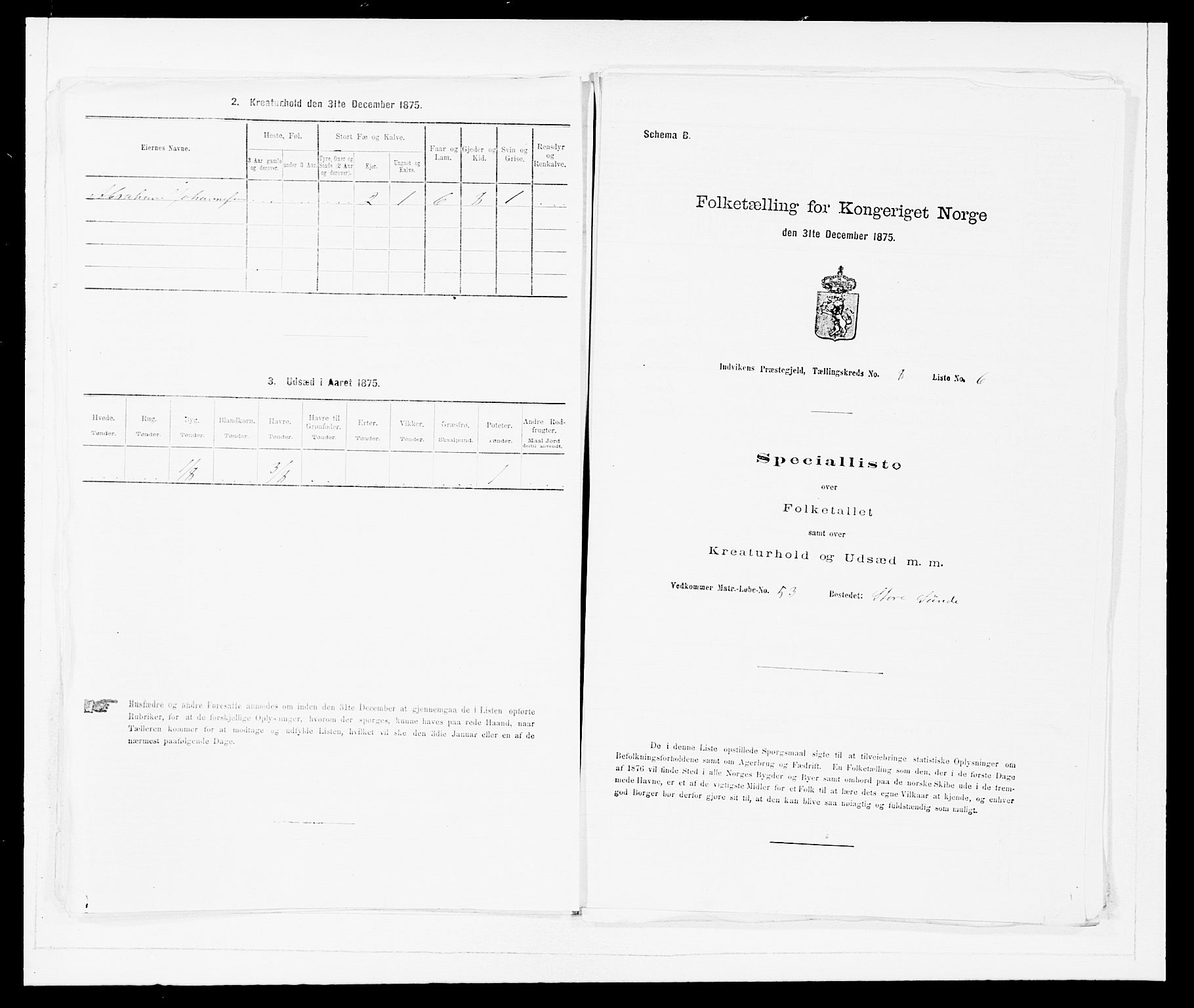 SAB, 1875 Census for 1447P Innvik, 1875, p. 905