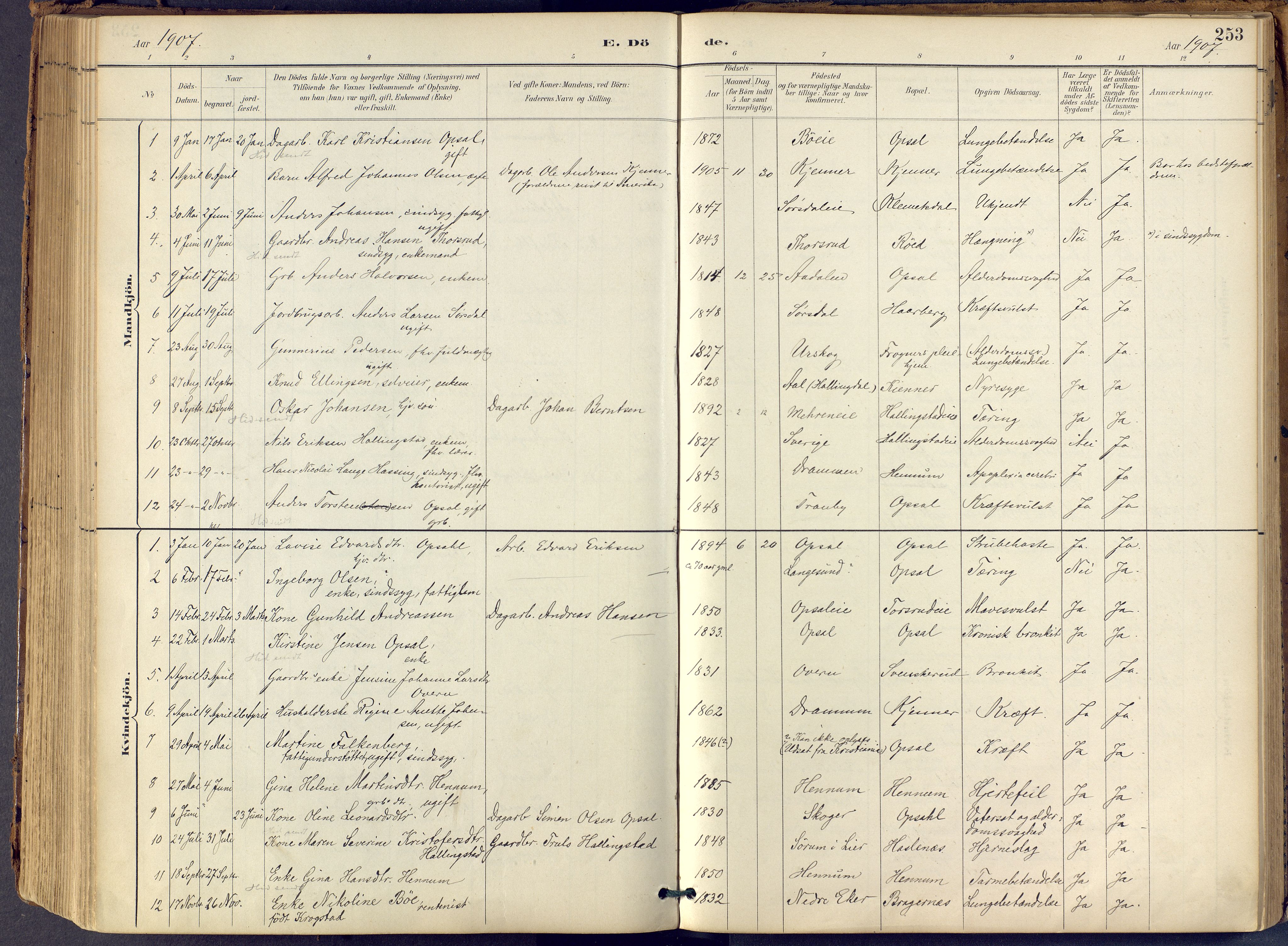 Lier kirkebøker, AV/SAKO-A-230/F/Fb/L0001: Parish register (official) no. II 1, 1883-1910, p. 253