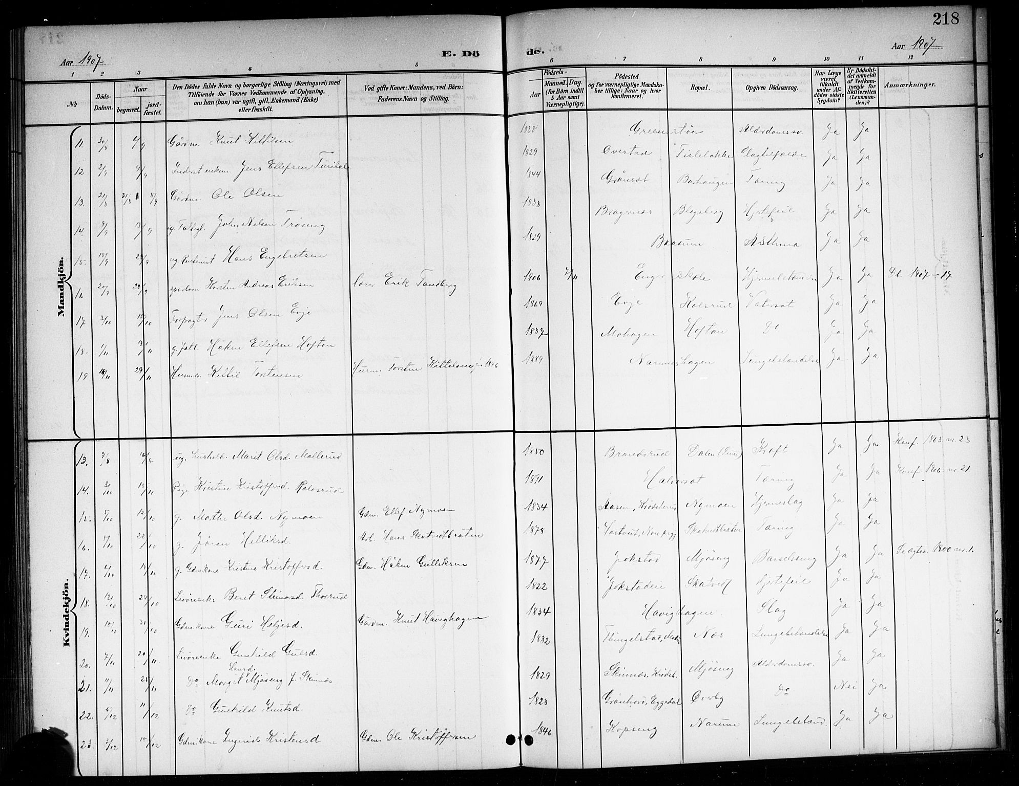 Sigdal kirkebøker, SAKO/A-245/G/Ga/L0006: Parish register (copy) no. I 6, 1901-1916, p. 218