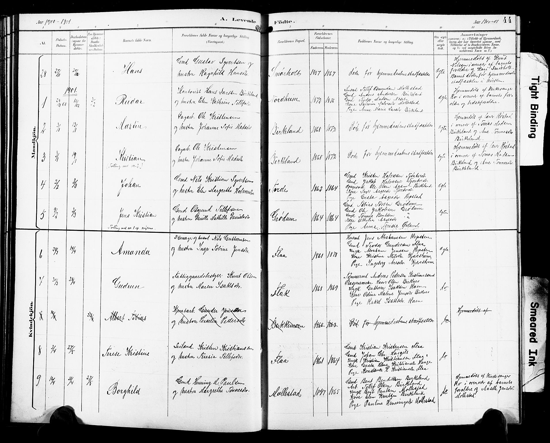 Birkenes sokneprestkontor, SAK/1111-0004/F/Fb/L0004: Parish register (copy) no. B 4, 1893-1930, p. 44