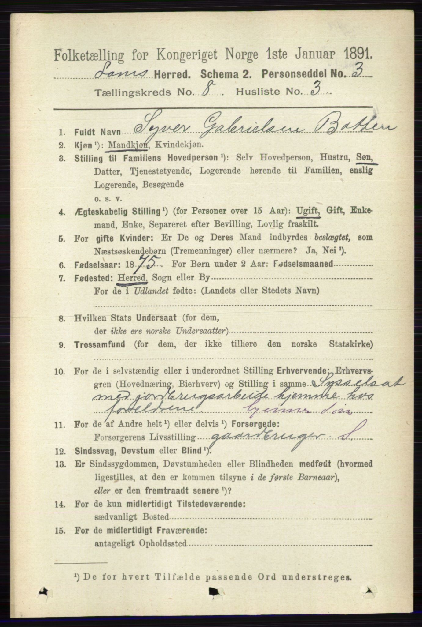 RA, 1891 census for 0514 Lom, 1891, p. 3119