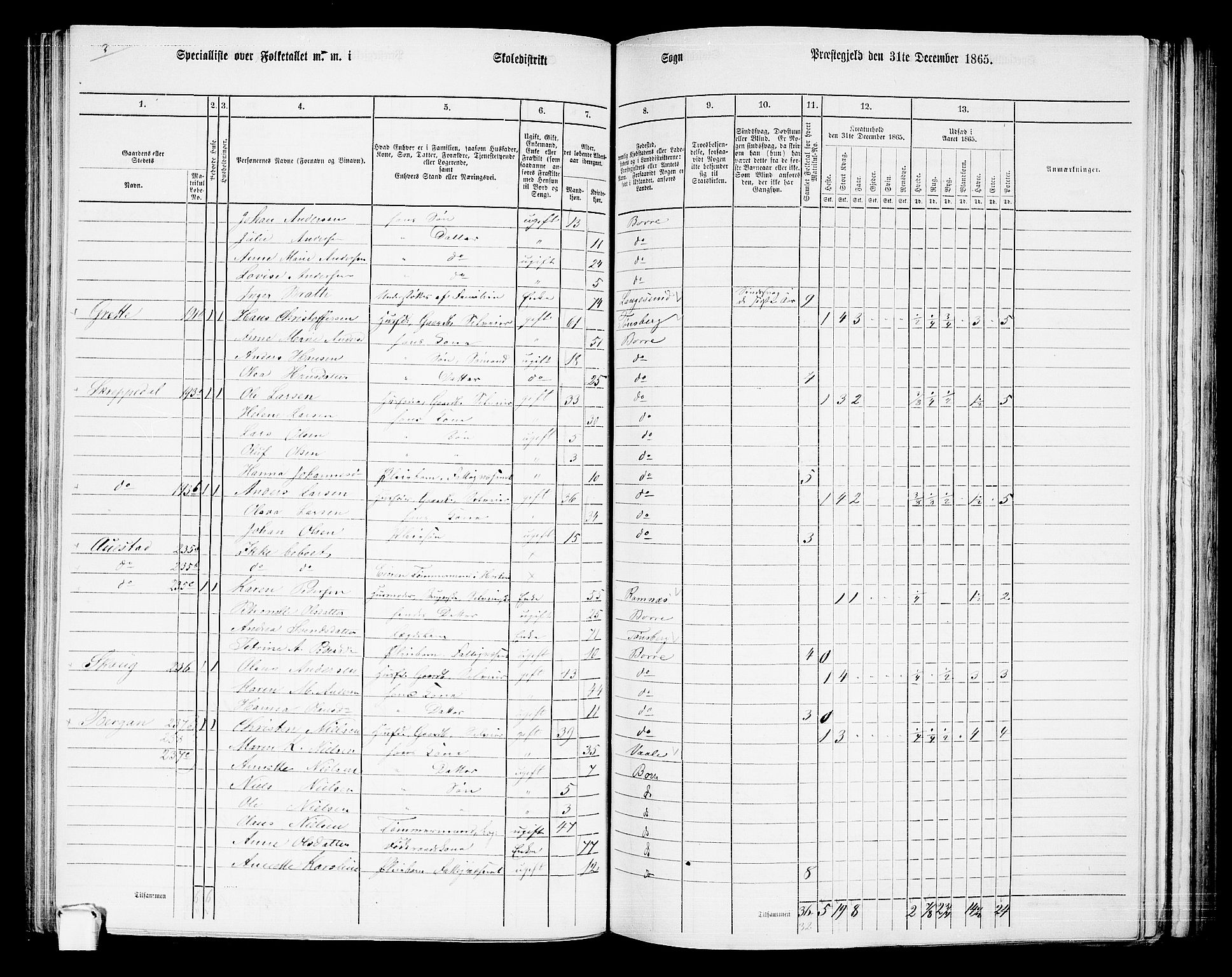 RA, 1865 census for Borre, 1865, p. 136