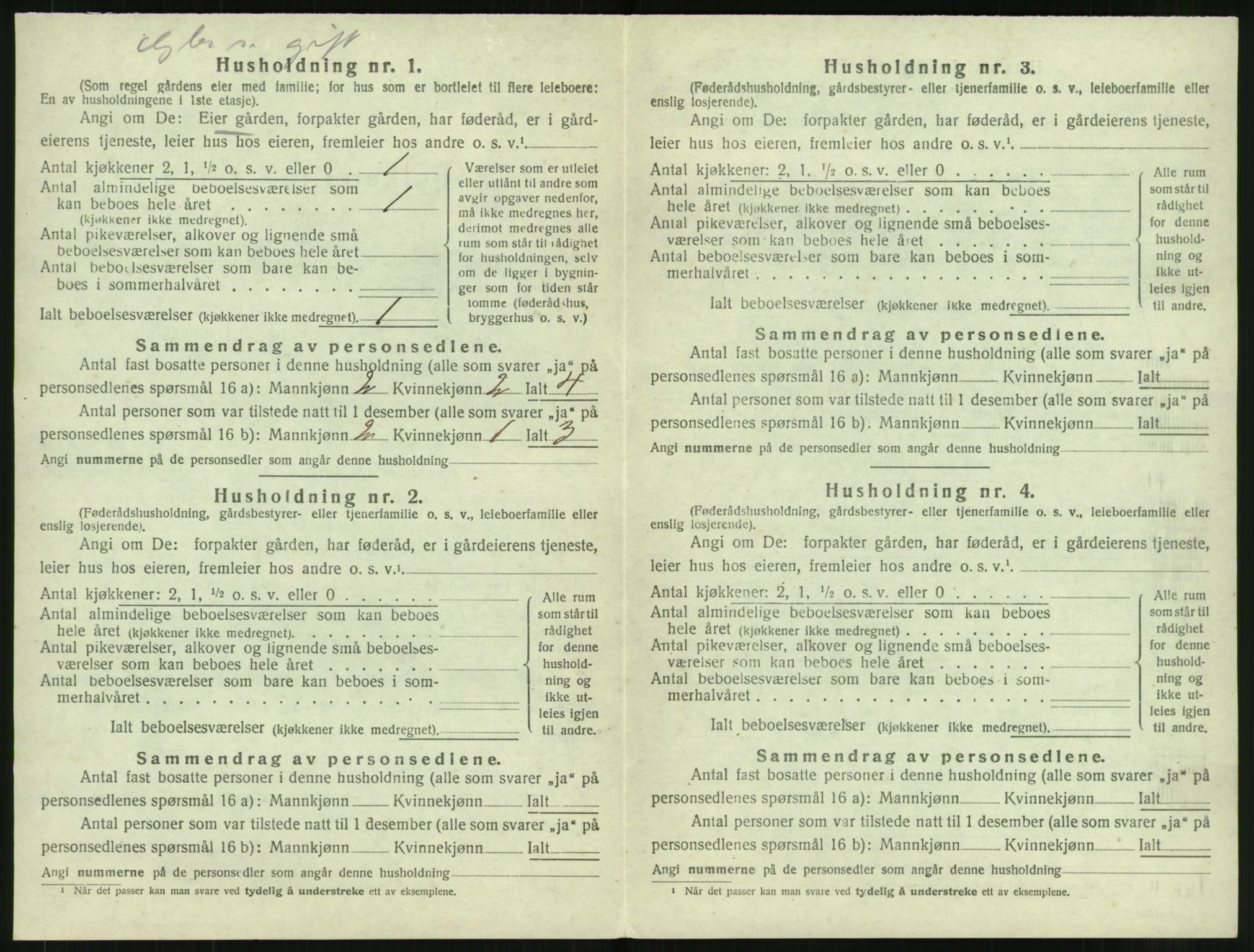 SAT, 1920 census for Borge, 1920, p. 648