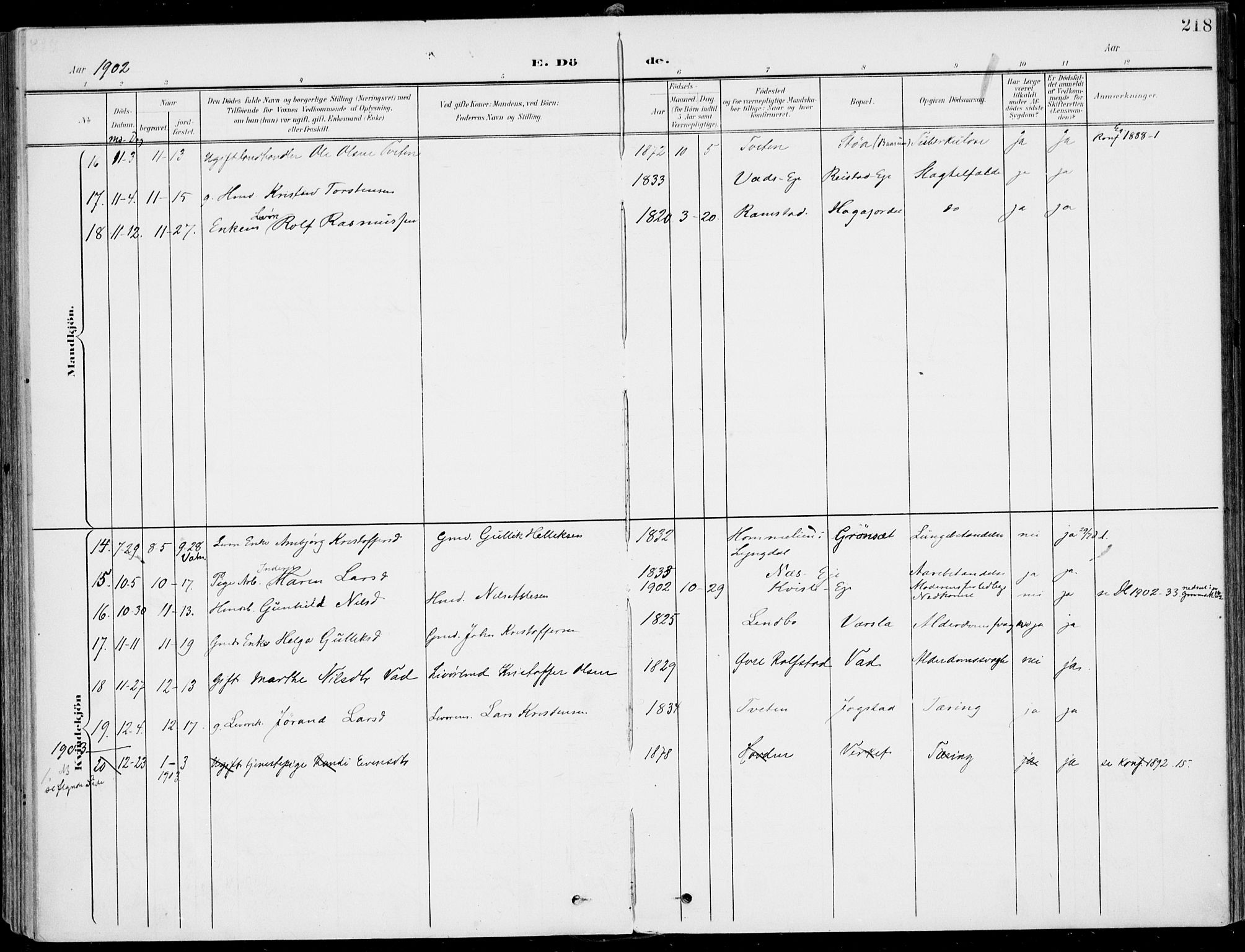 Sigdal kirkebøker, AV/SAKO-A-245/F/Fb/L0002: Parish register (official) no. II 2, 1901-1914, p. 218