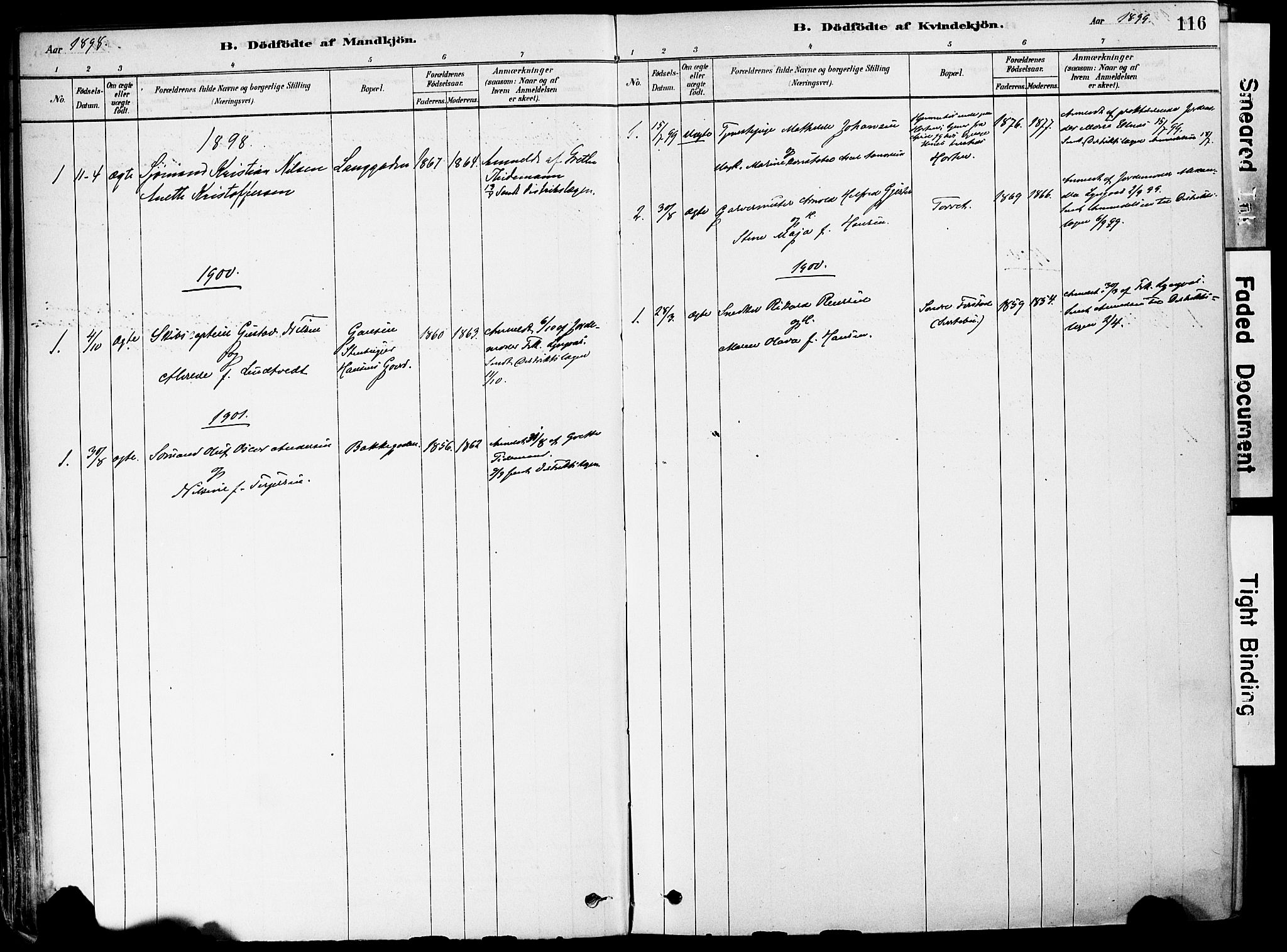 Holmestrand kirkebøker, AV/SAKO-A-346/F/Fa/L0004: Parish register (official) no. 4, 1880-1901, p. 116