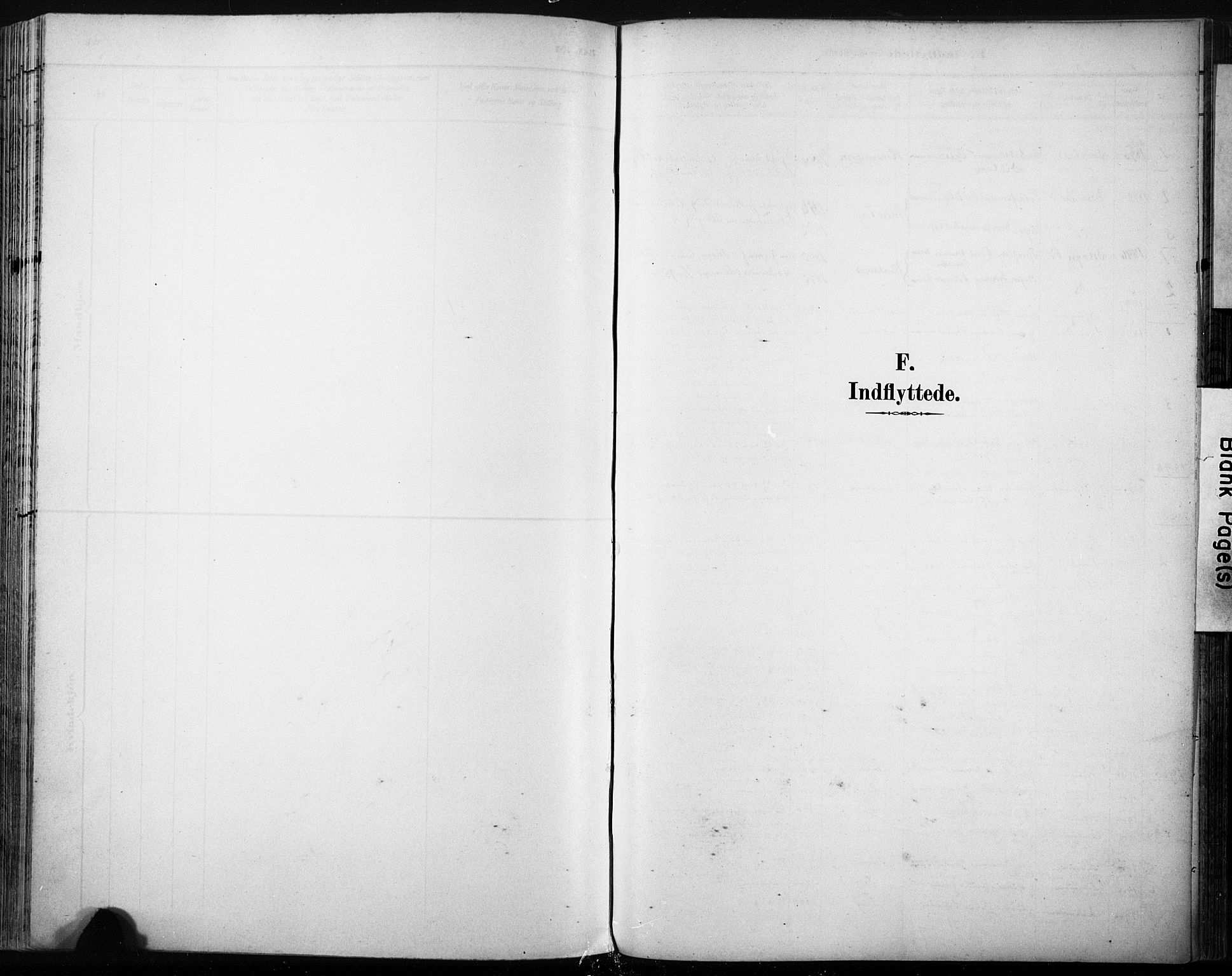 Ministerialprotokoller, klokkerbøker og fødselsregistre - Sør-Trøndelag, AV/SAT-A-1456/616/L0411: Parish register (official) no. 616A08, 1894-1906