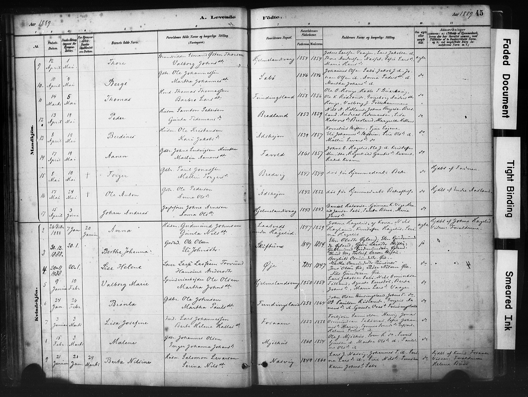 Hjelmeland sokneprestkontor, AV/SAST-A-101843/01/IV/L0014: Parish register (official) no. A 14, 1879-1900, p. 45