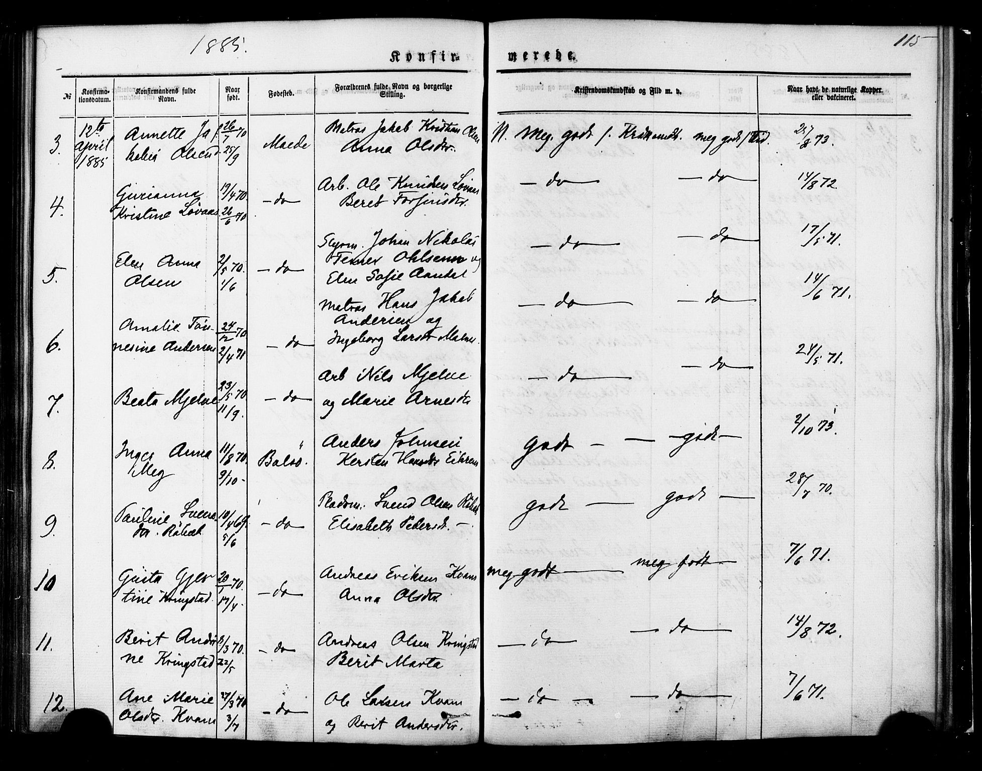 Ministerialprotokoller, klokkerbøker og fødselsregistre - Møre og Romsdal, AV/SAT-A-1454/558/L0691: Parish register (official) no. 558A05, 1873-1886, p. 115