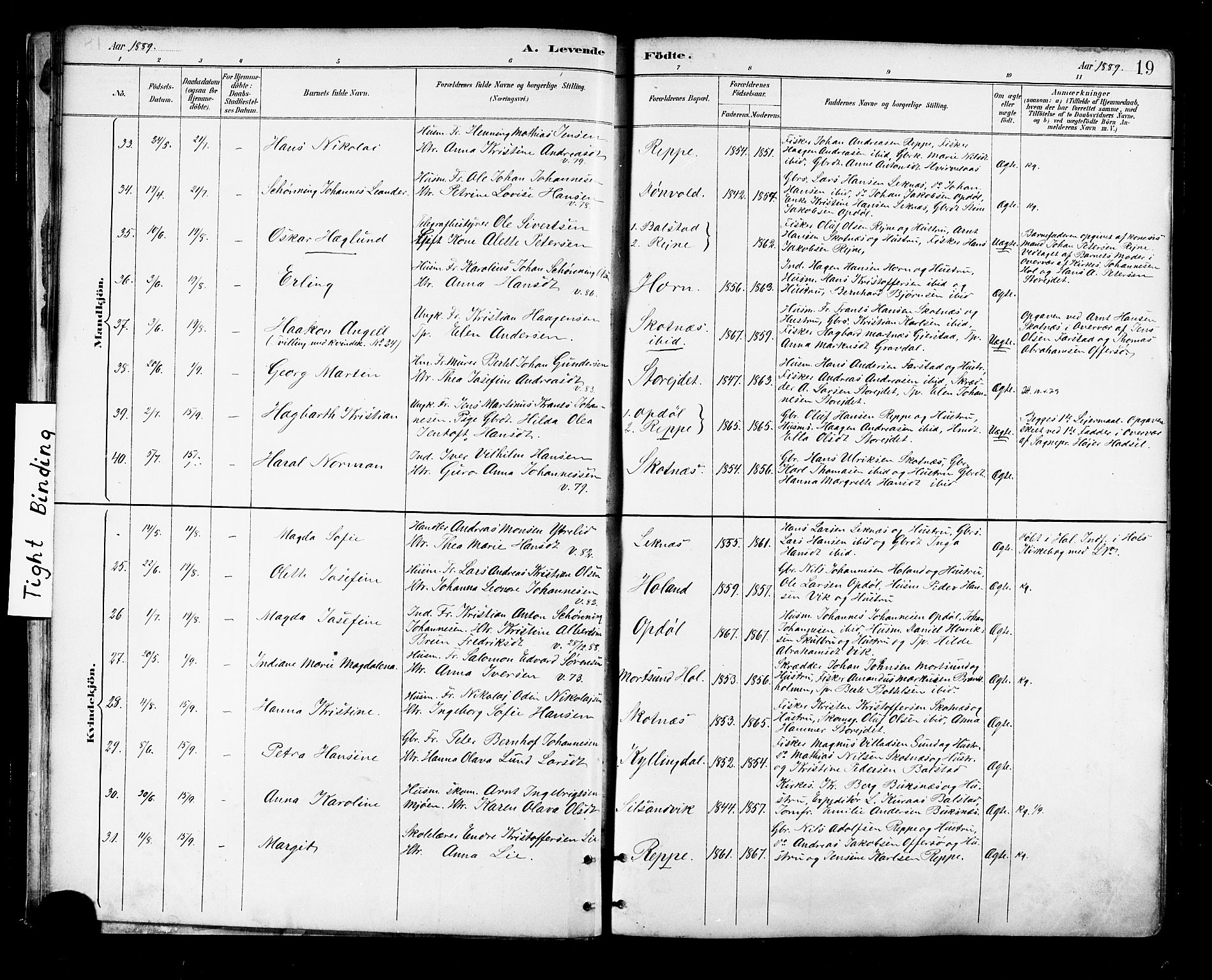 Ministerialprotokoller, klokkerbøker og fødselsregistre - Nordland, SAT/A-1459/881/L1167: Parish register (copy) no. 881C04, 1886-1899, p. 19
