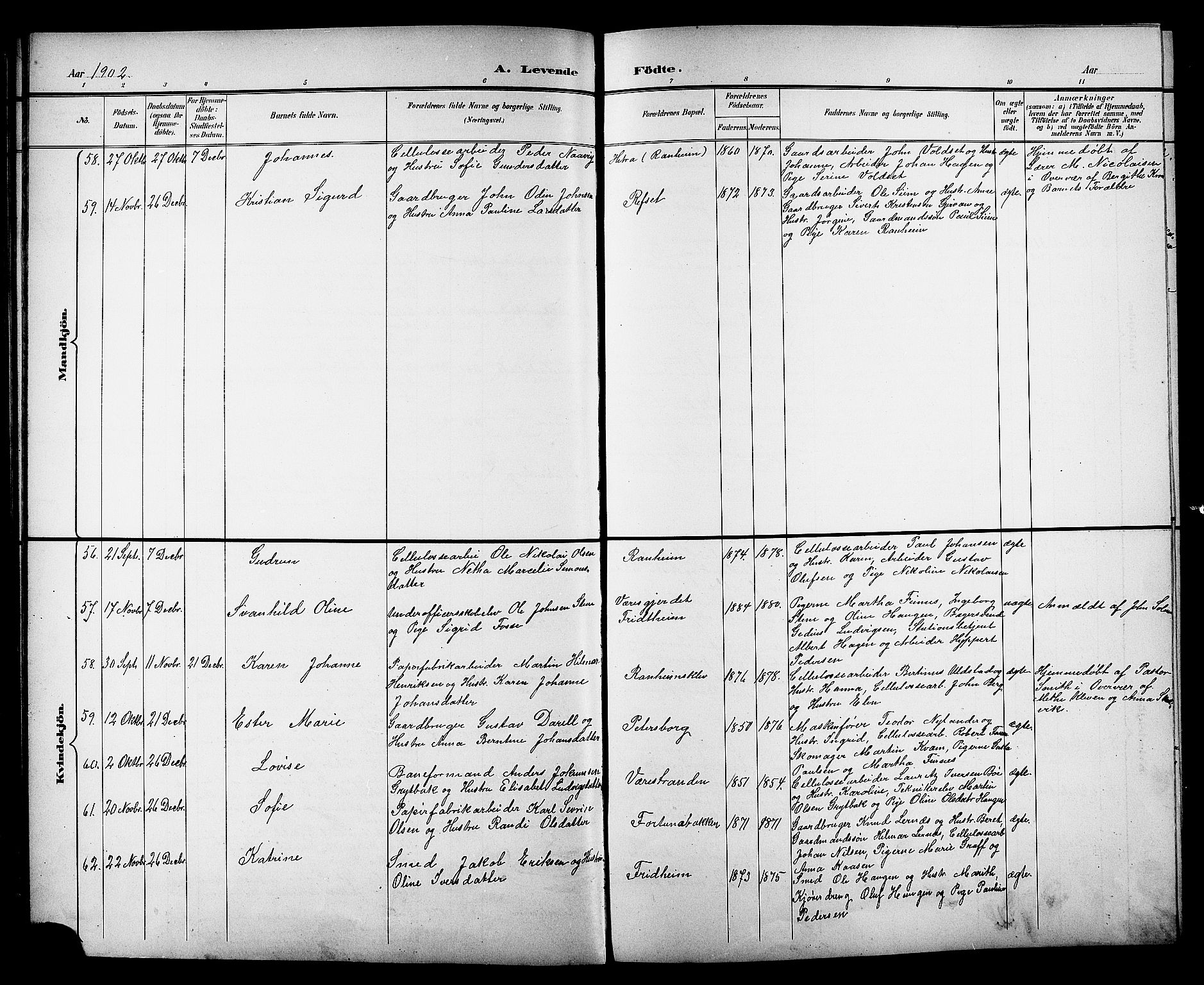 Ministerialprotokoller, klokkerbøker og fødselsregistre - Sør-Trøndelag, AV/SAT-A-1456/606/L0313: Parish register (copy) no. 606C09, 1895-1910