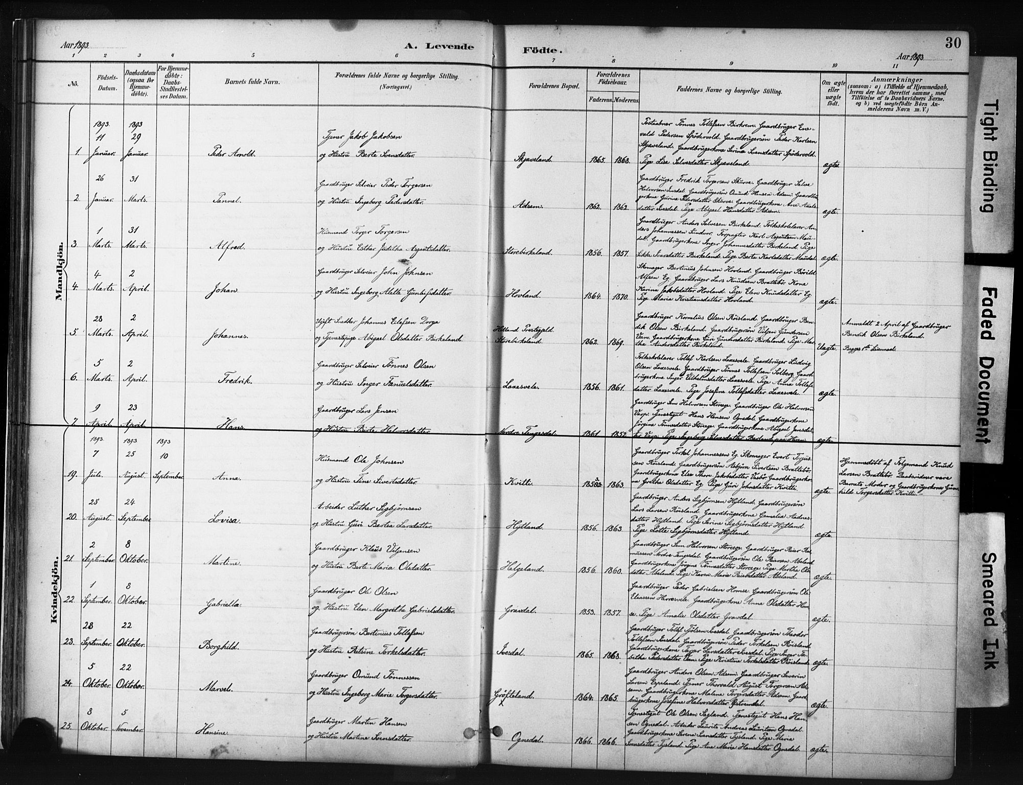 Helleland sokneprestkontor, AV/SAST-A-101810: Parish register (official) no. A 9, 1887-1908, p. 30